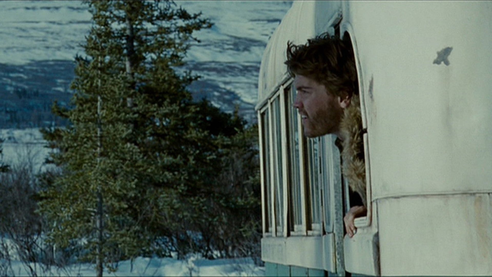 Foto do filme Na Natureza Selvagem