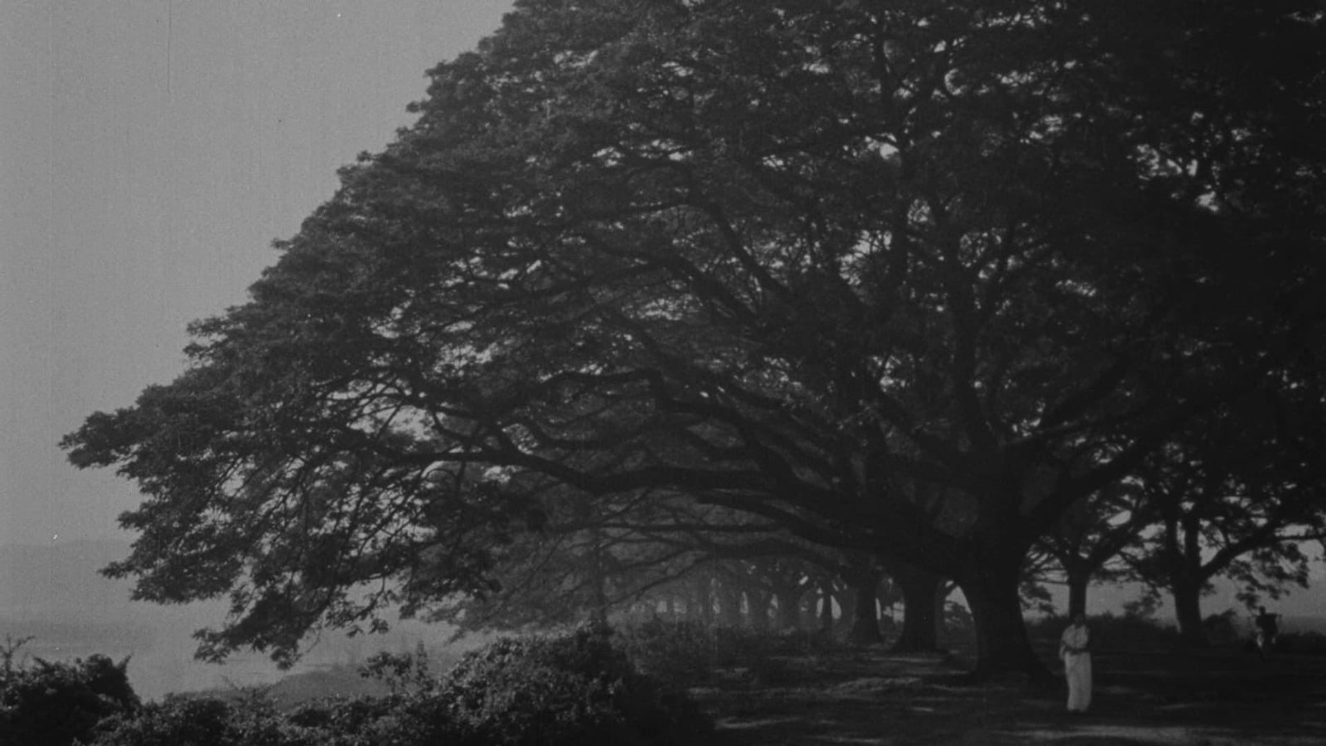 Foto do filme Estrela Encoberta de Nuvens