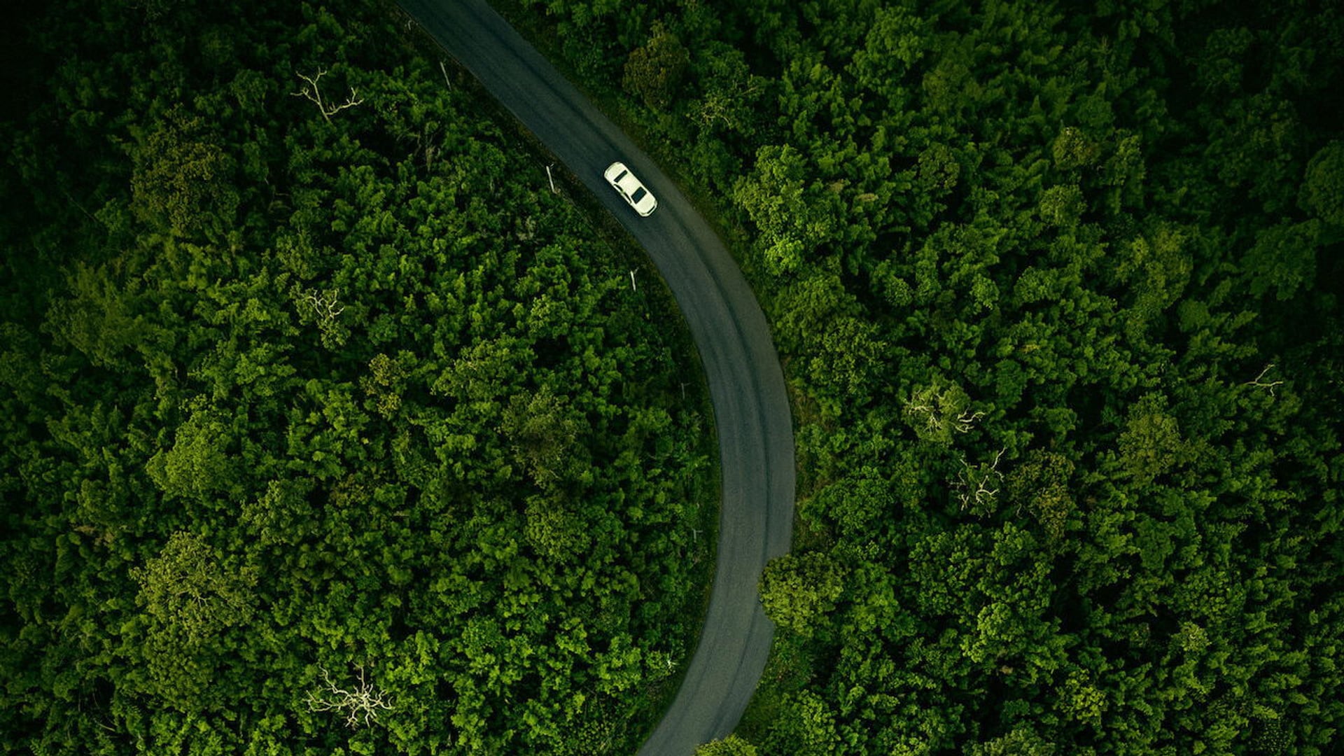 Foto do filme Era uma Vez um Sonho
