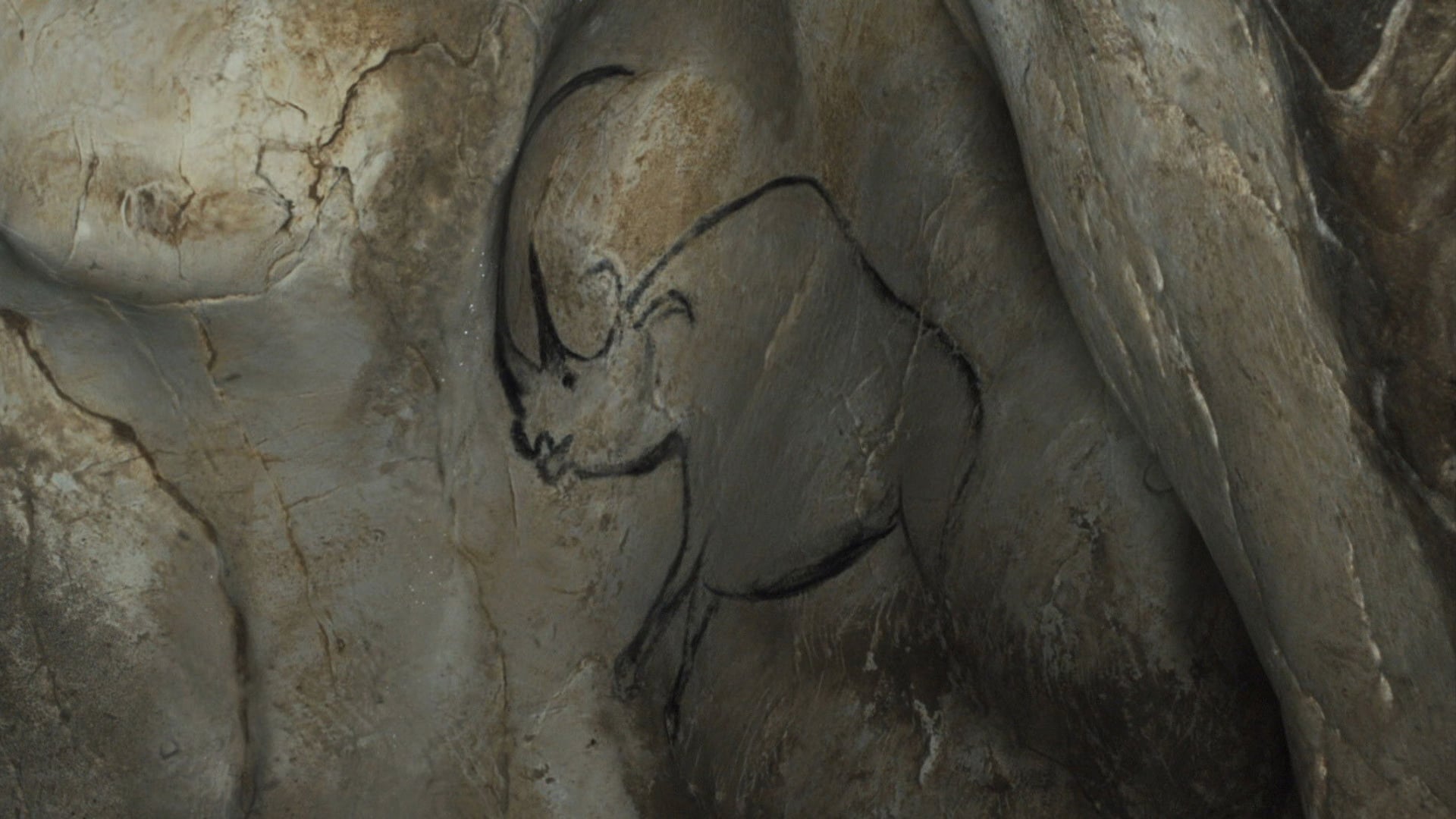 Foto do filme A Caverna dos Sonhos Esquecidos