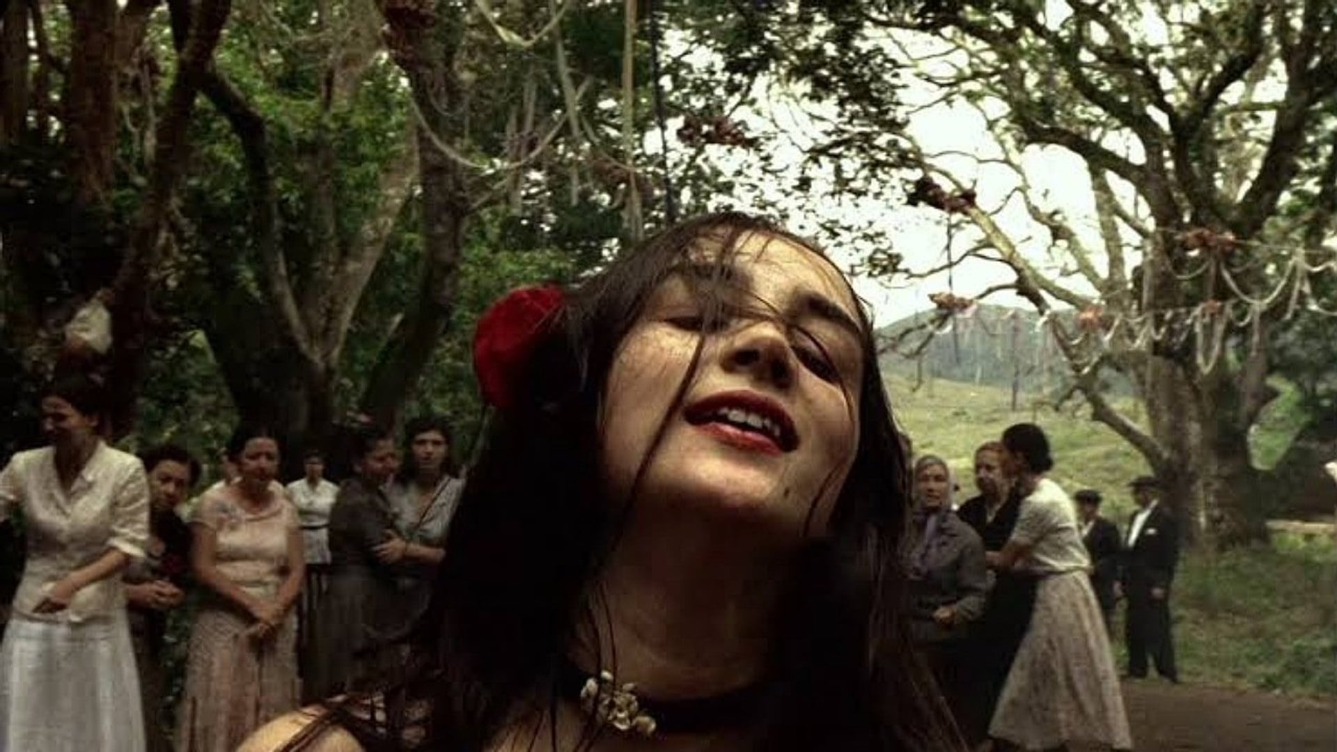 Foto do filme Lavoura Arcaica