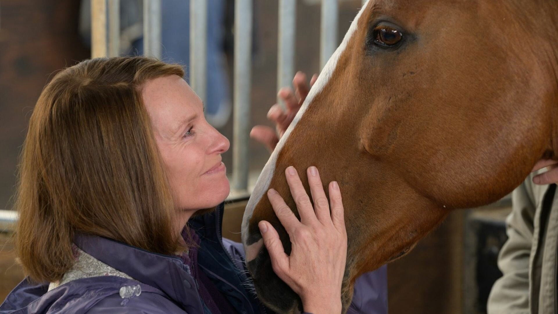Foto do filme O Cavalo dos Meus Sonhos