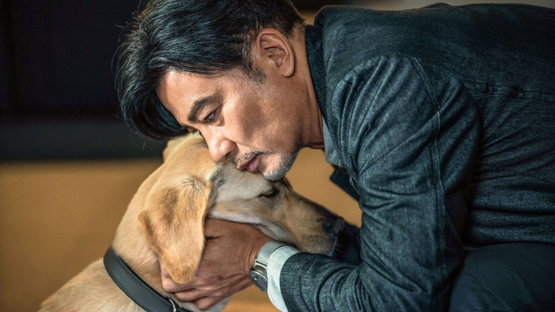 Foto do filme Eternos Companheiros