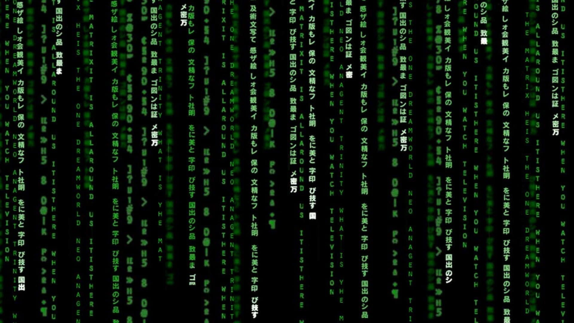 Foto do filme Matrix Reloaded