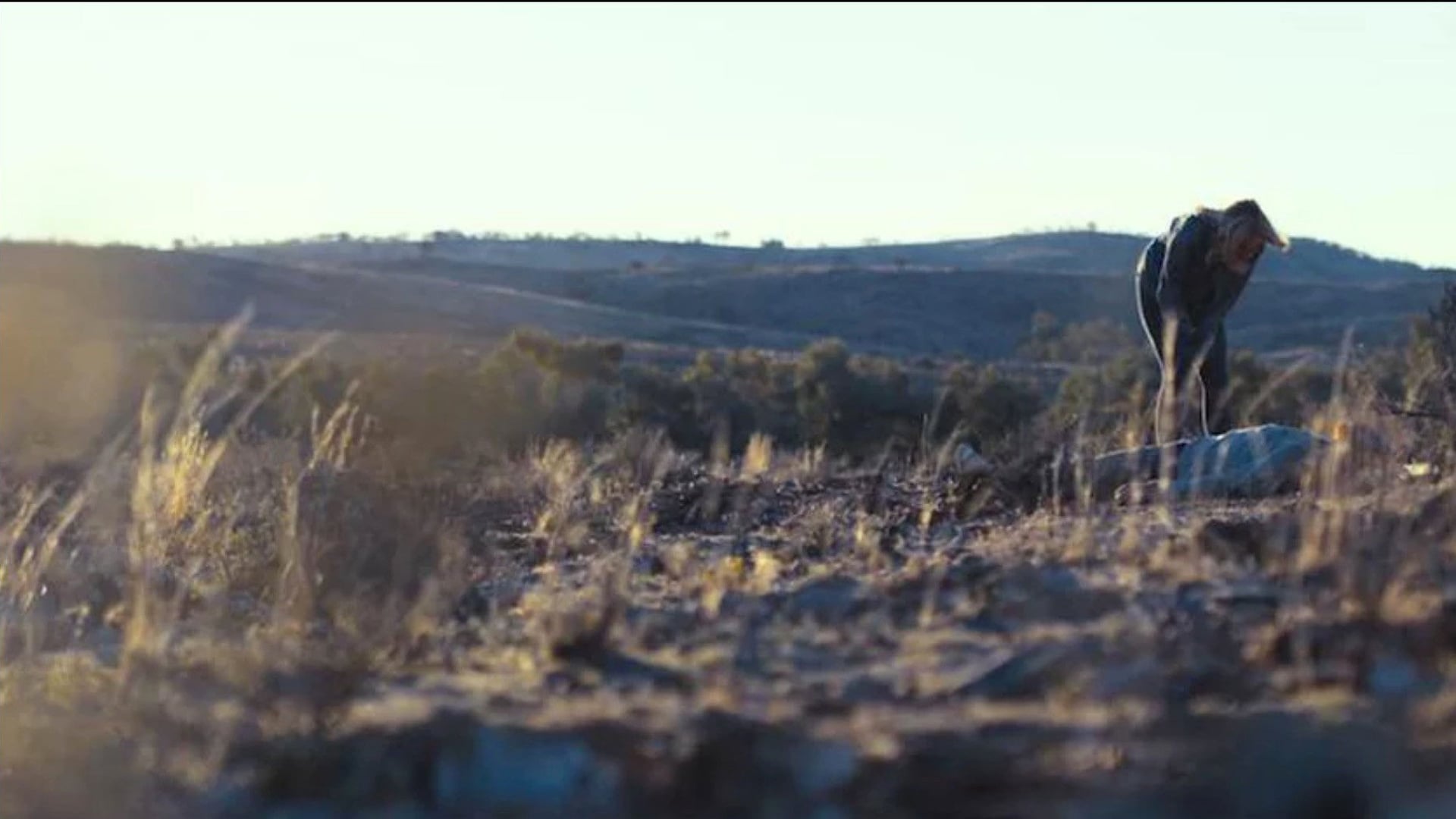 Foto do filme Outback