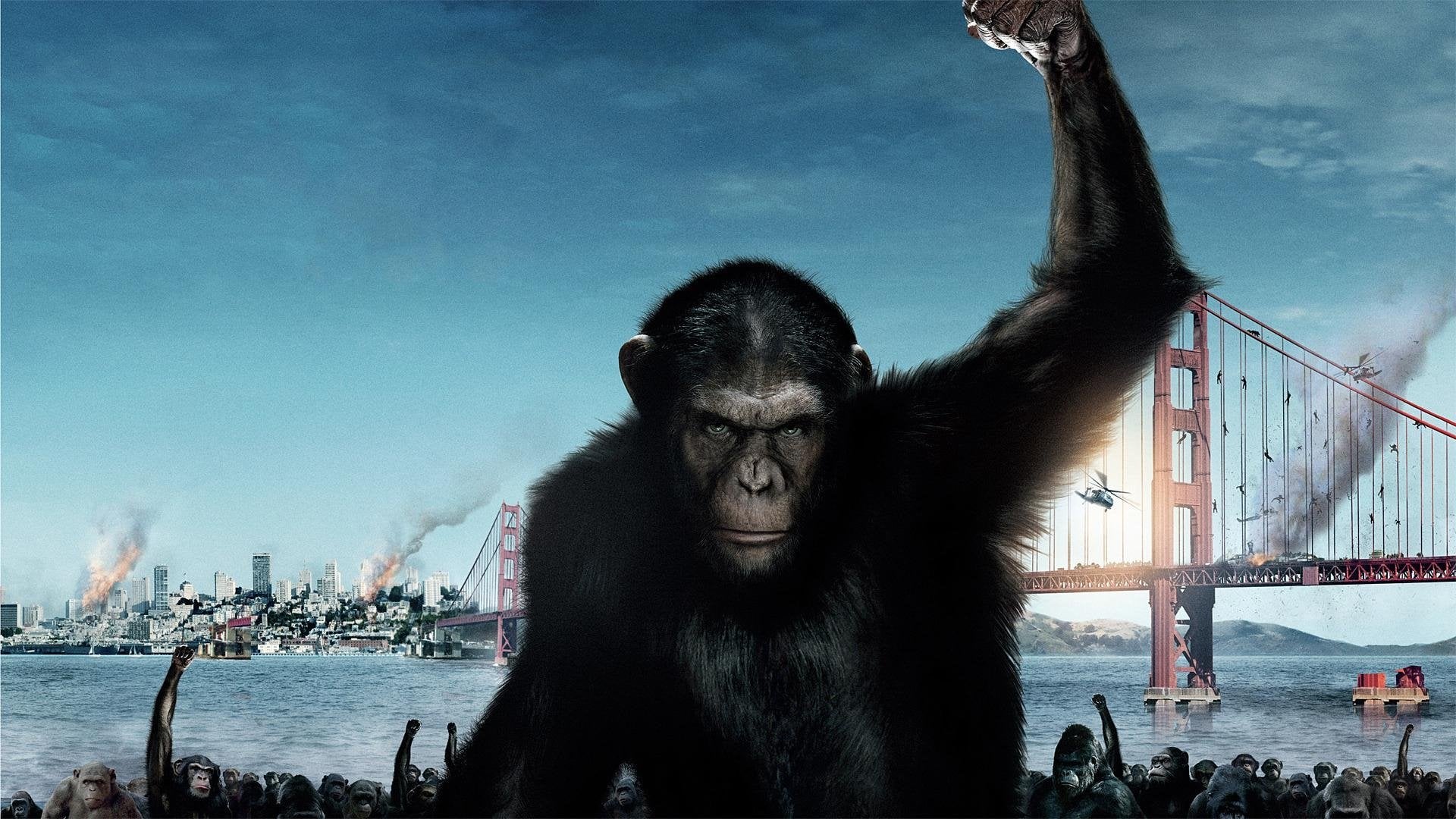 Foto do filme Planeta dos Macacos: A Origem