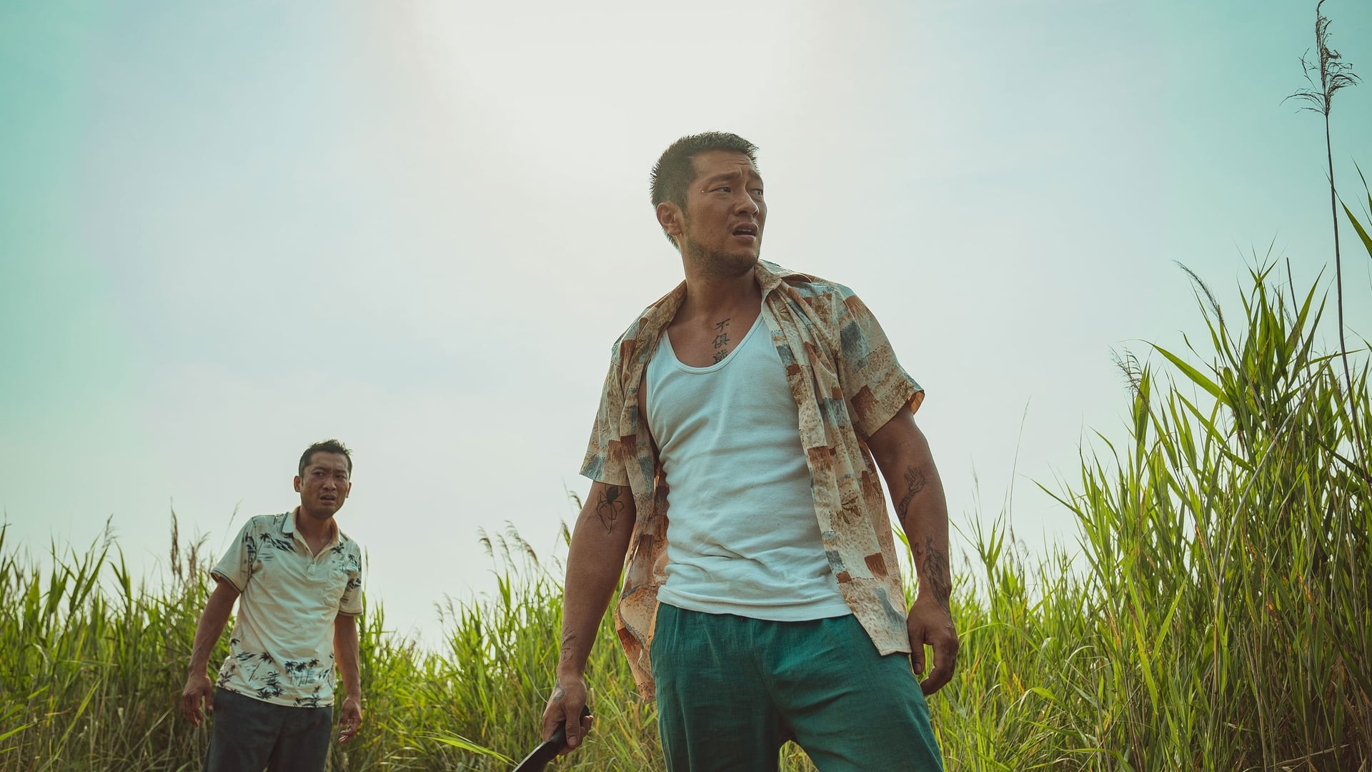 Foto do filme Força Bruta