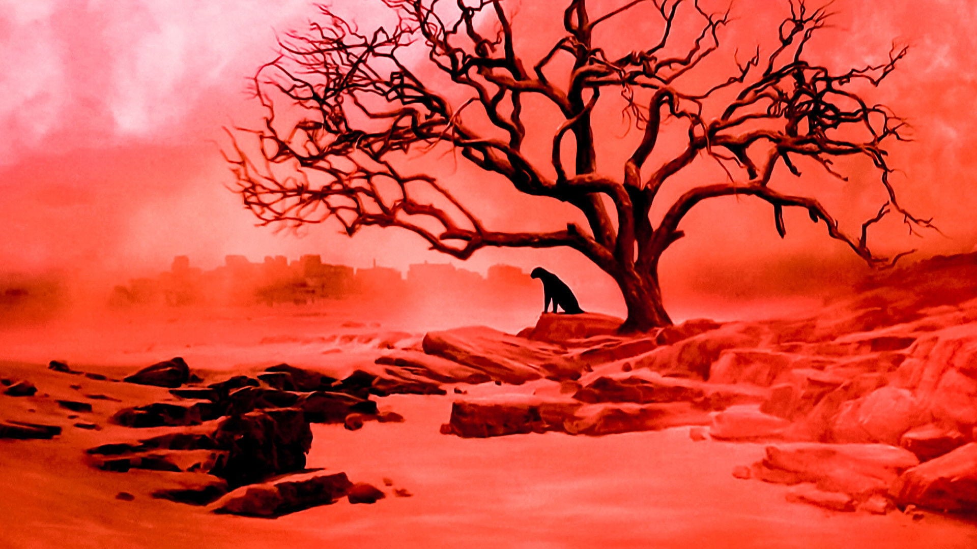 Foto do filme A Marca da Pantera