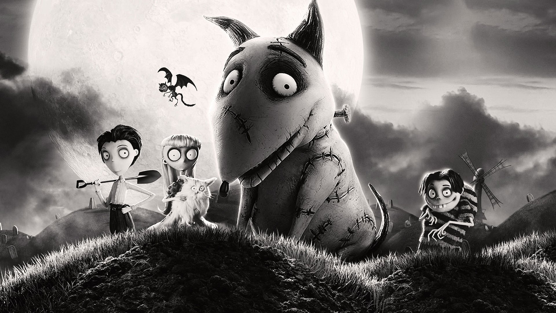Foto do filme Frankenweenie