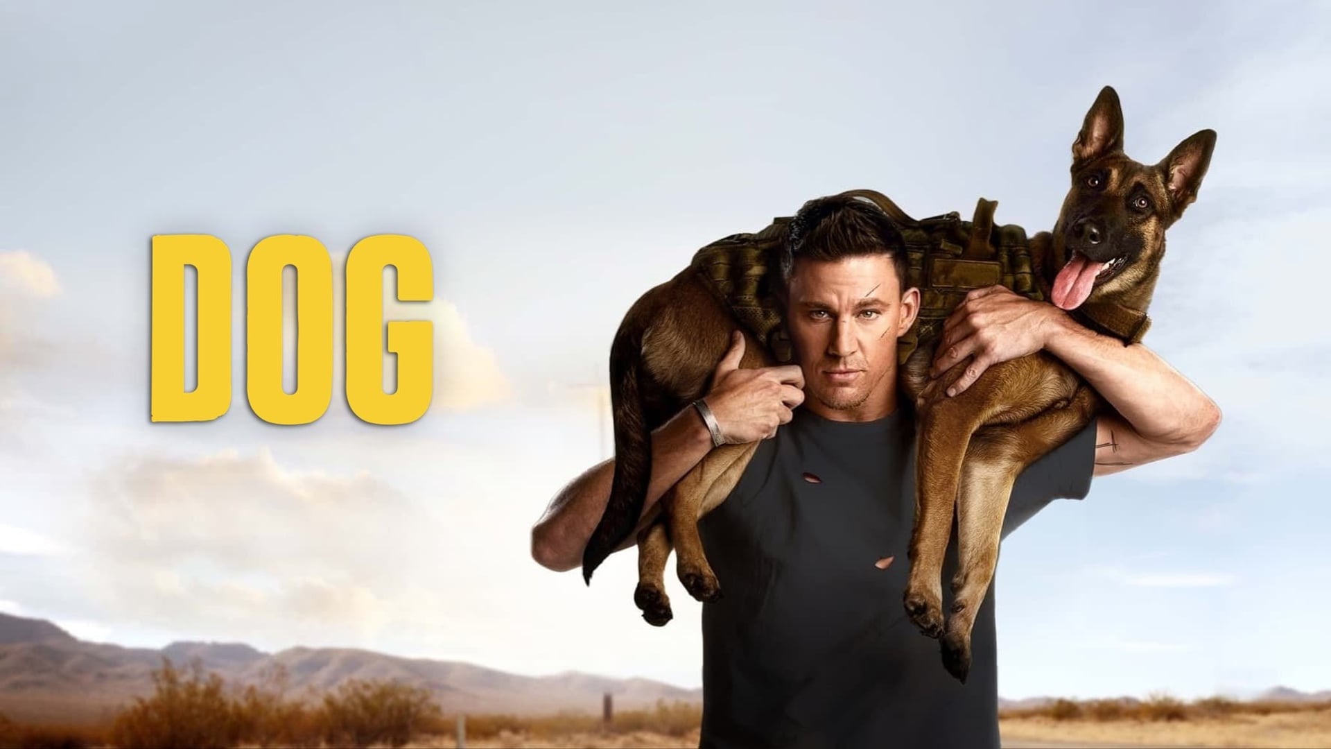Foto do filme Dog - A Aventura de Uma Vida