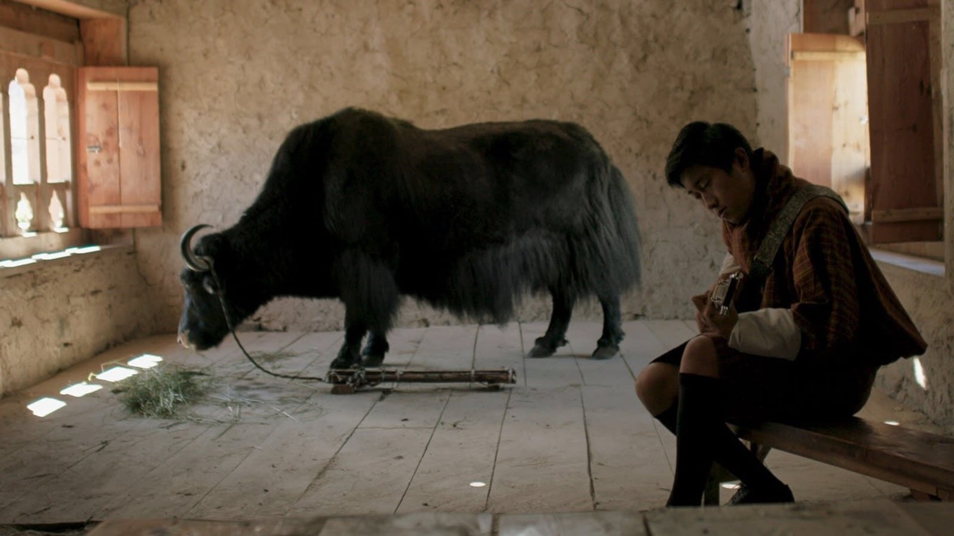 Foto do filme A Felicidade das Pequenas Coisas