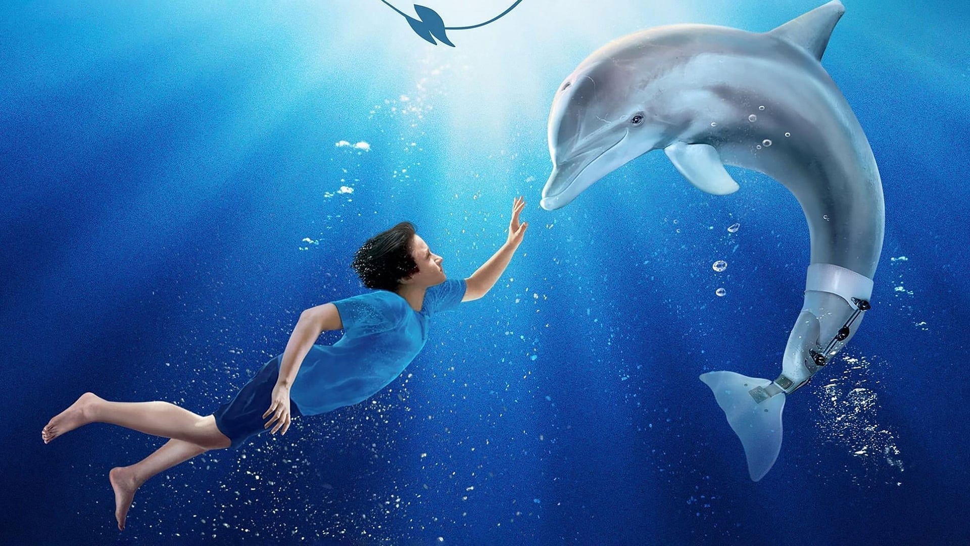 Foto do filme Winter, o Golfinho