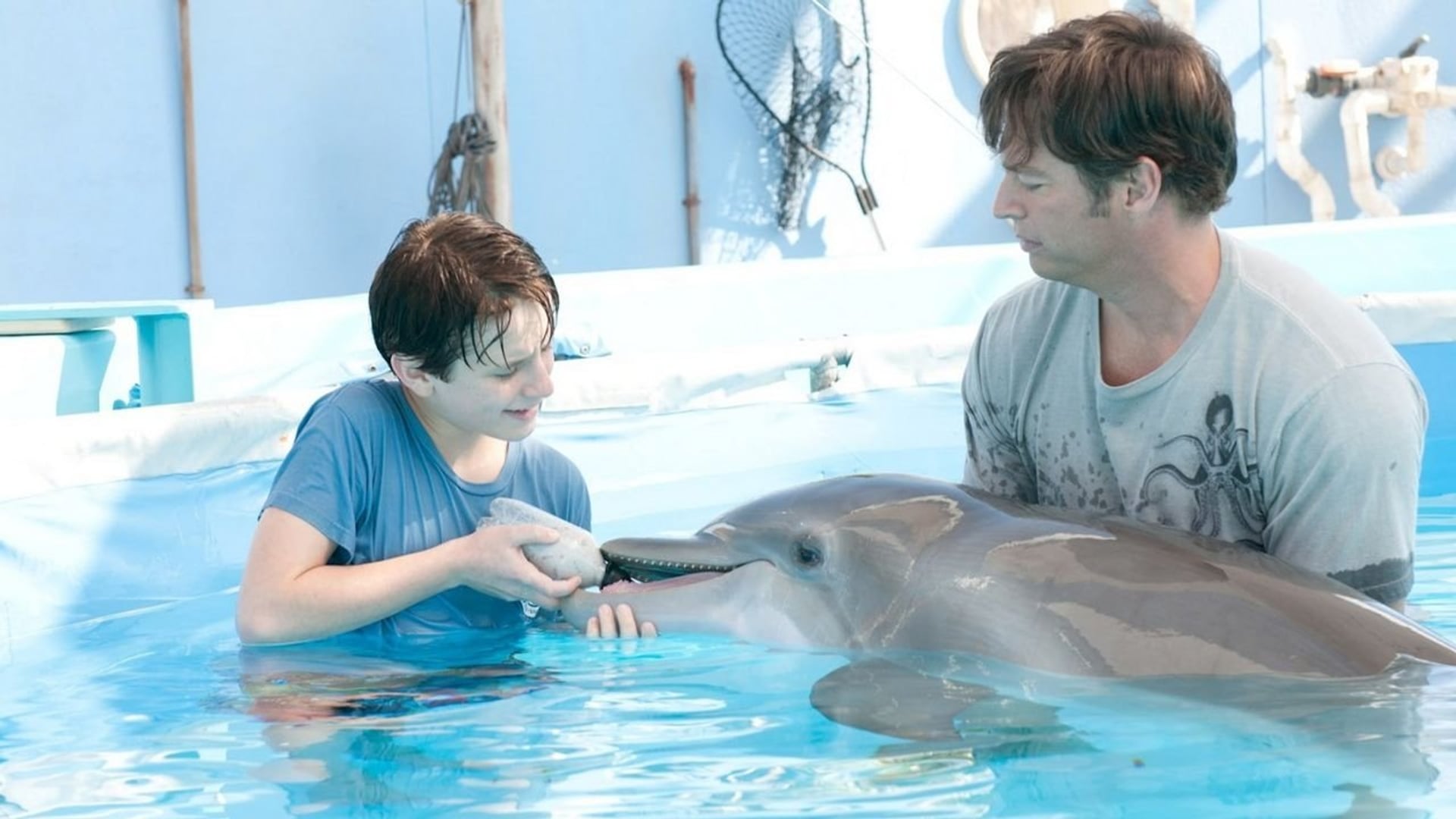 Foto do filme Winter, o Golfinho