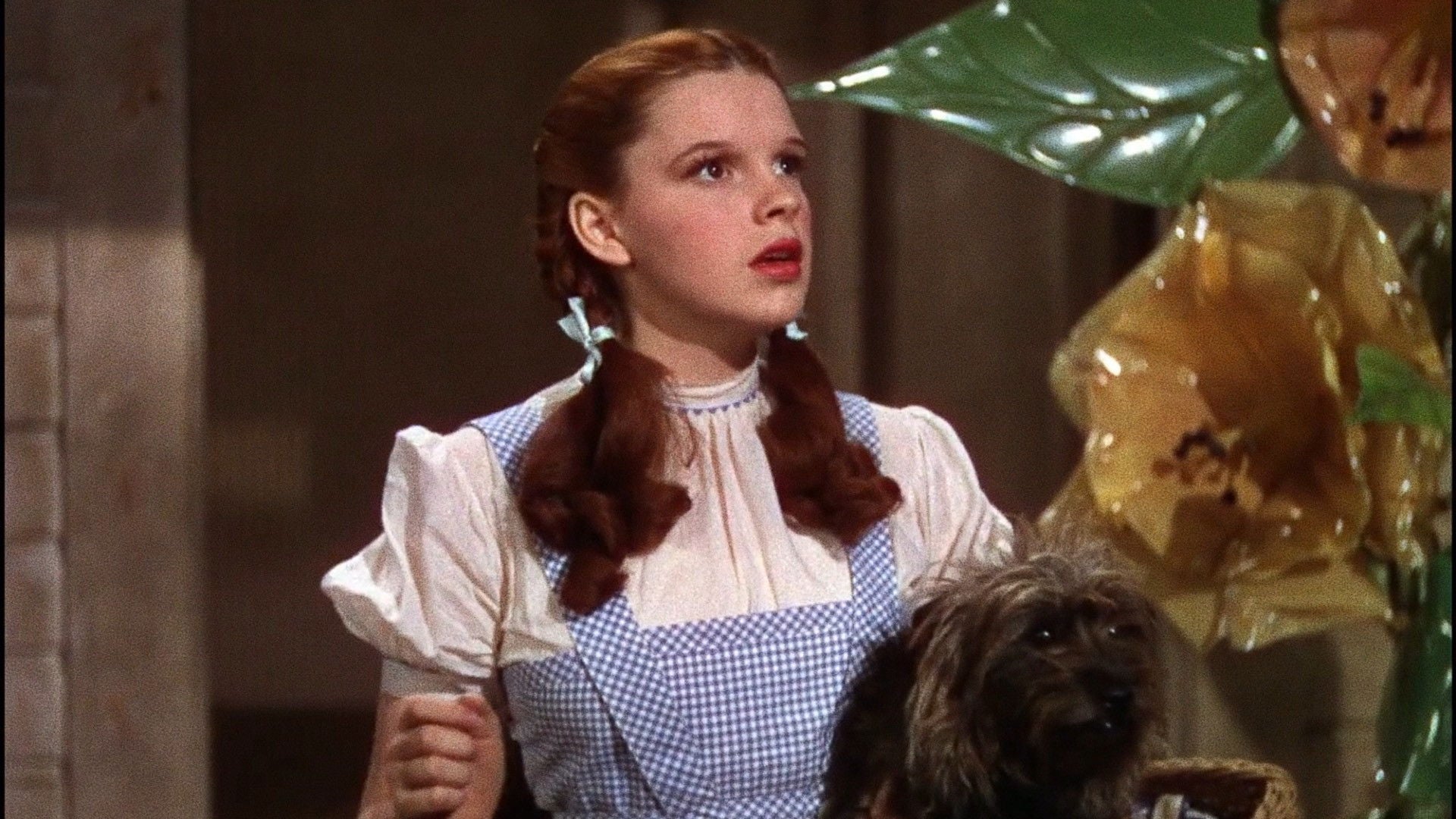 Foto do filme O Mágico de Oz