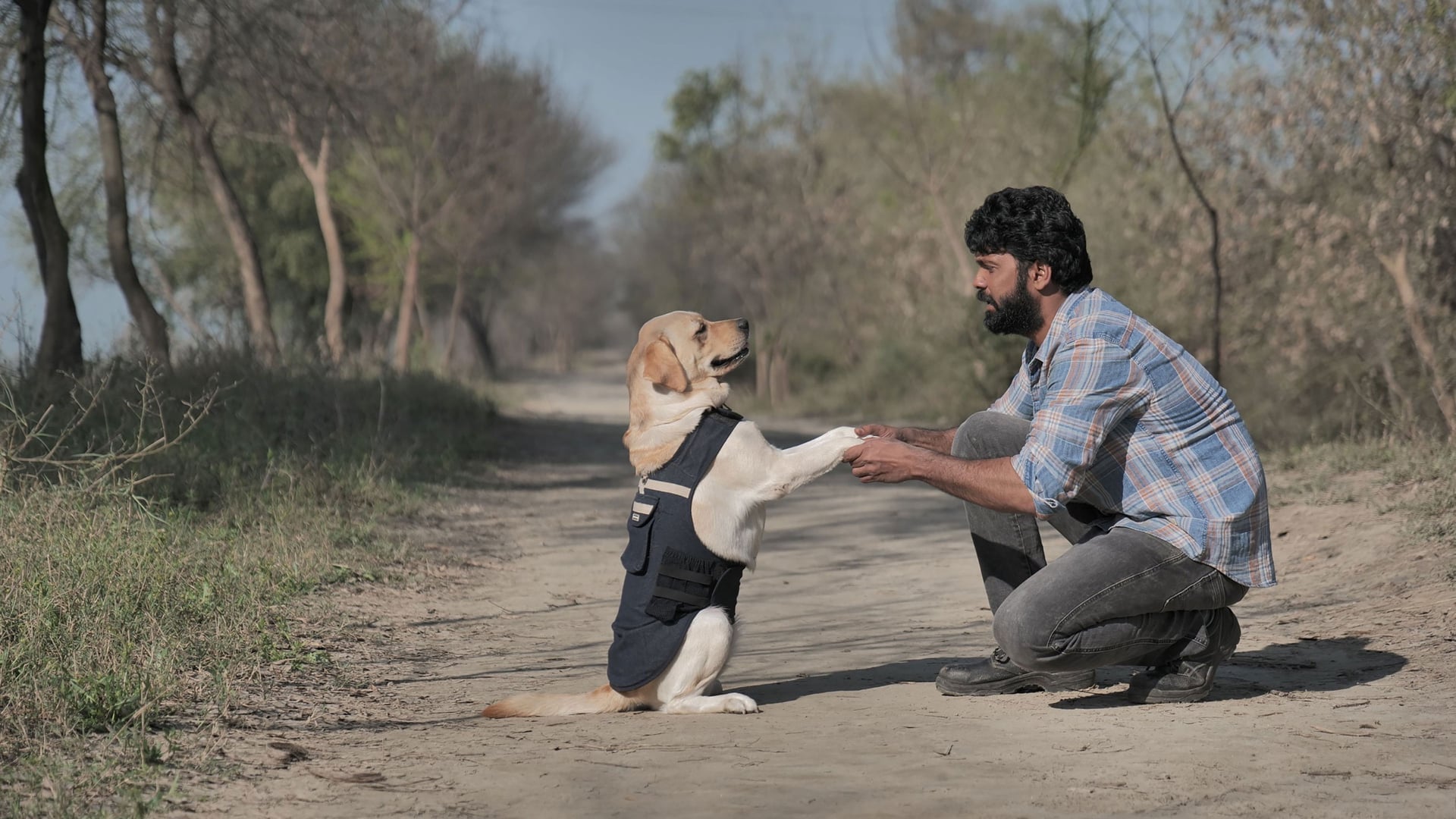 Foto do filme Charlie: Um Cachorro Especial