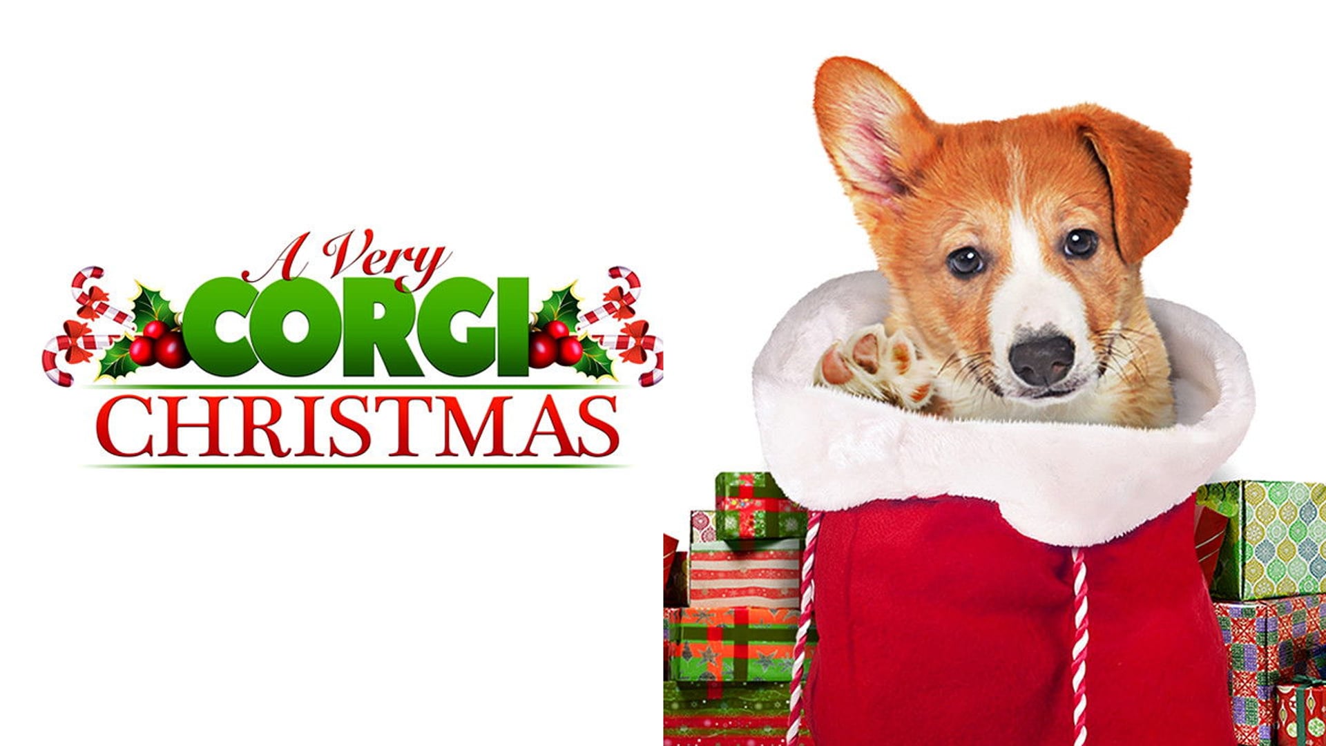 Foto do filme A Very Corgi Christmas