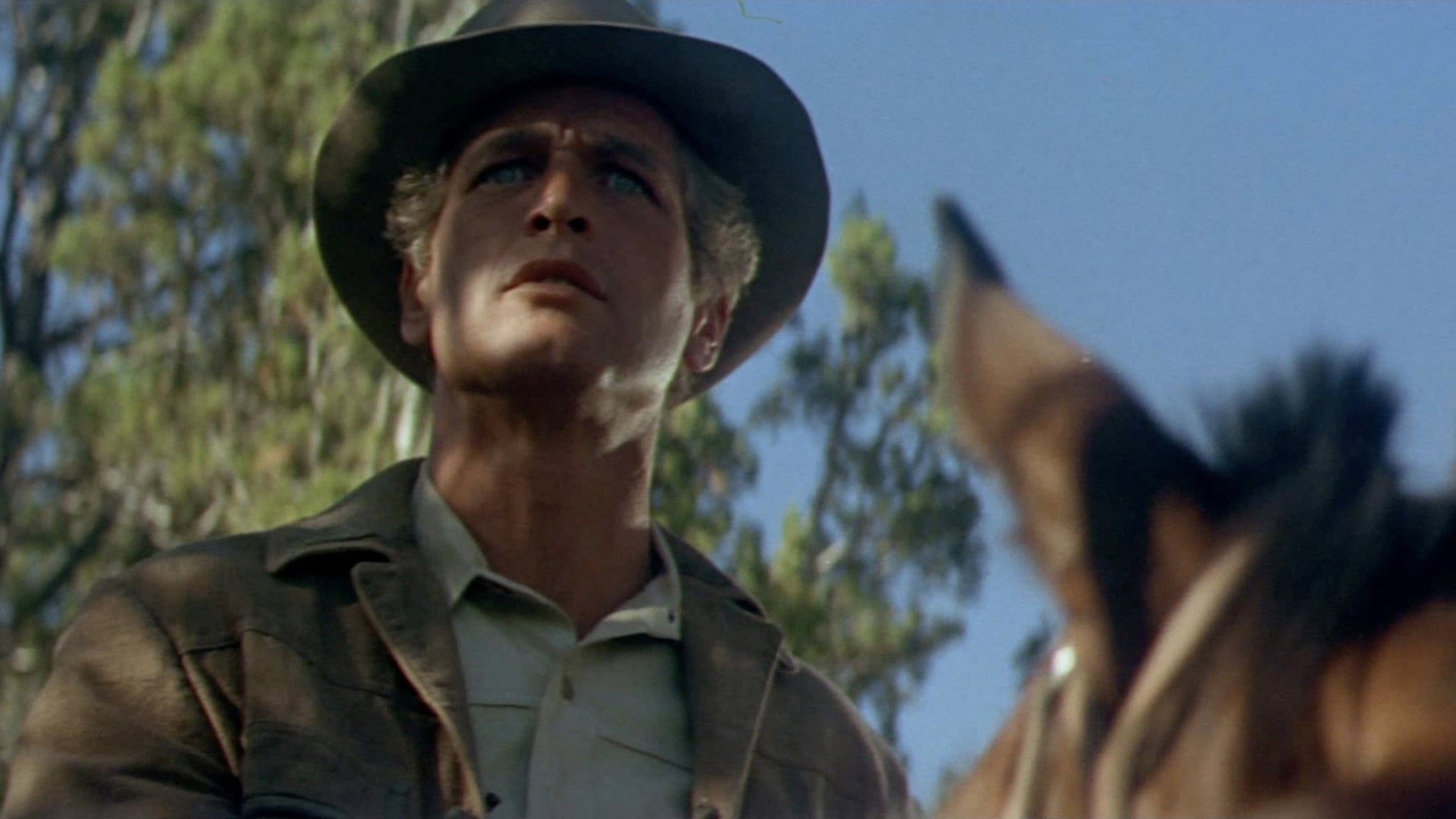 Foto do filme Butch Cassidy