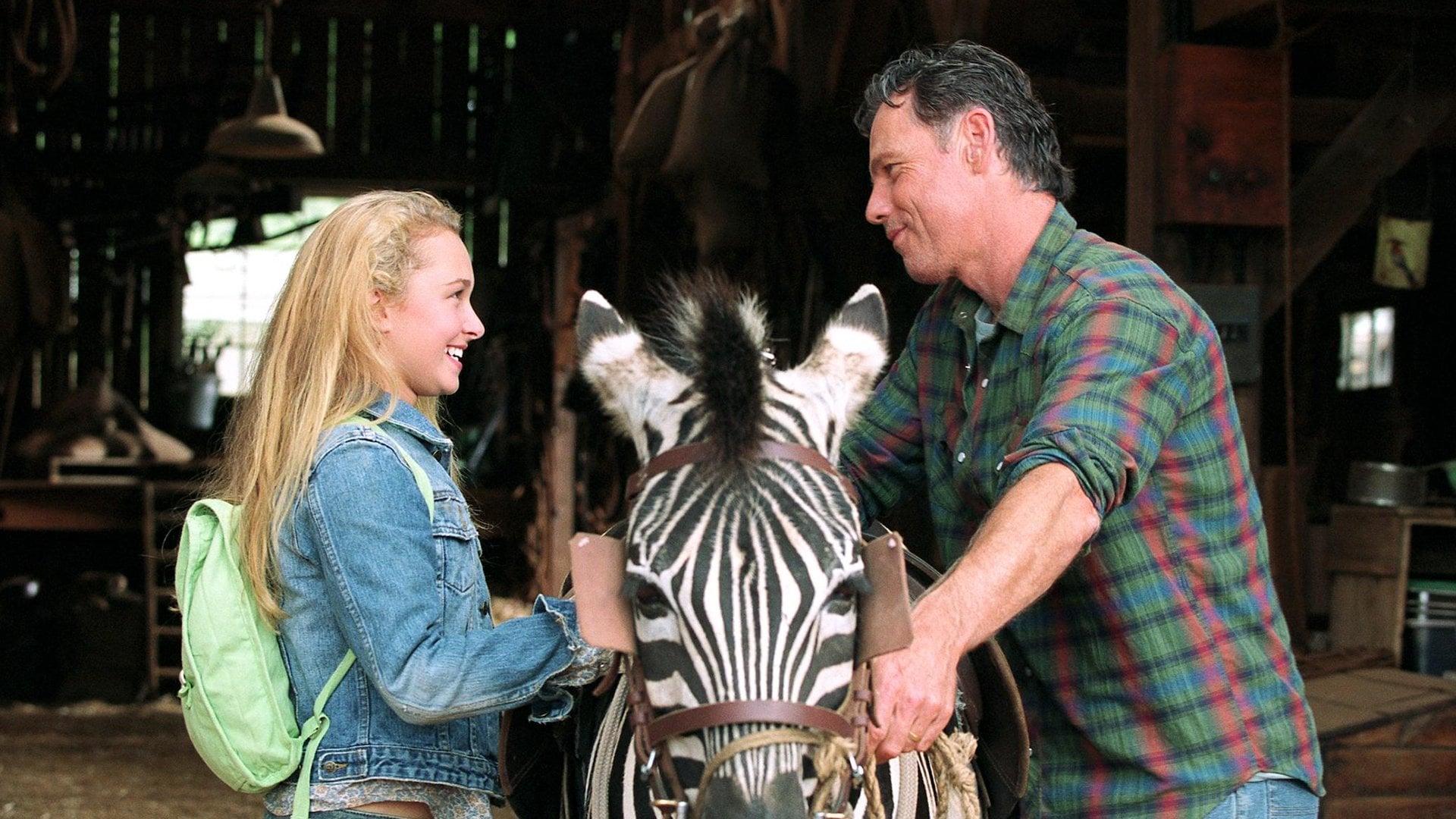 Foto do filme Deu Zebra!