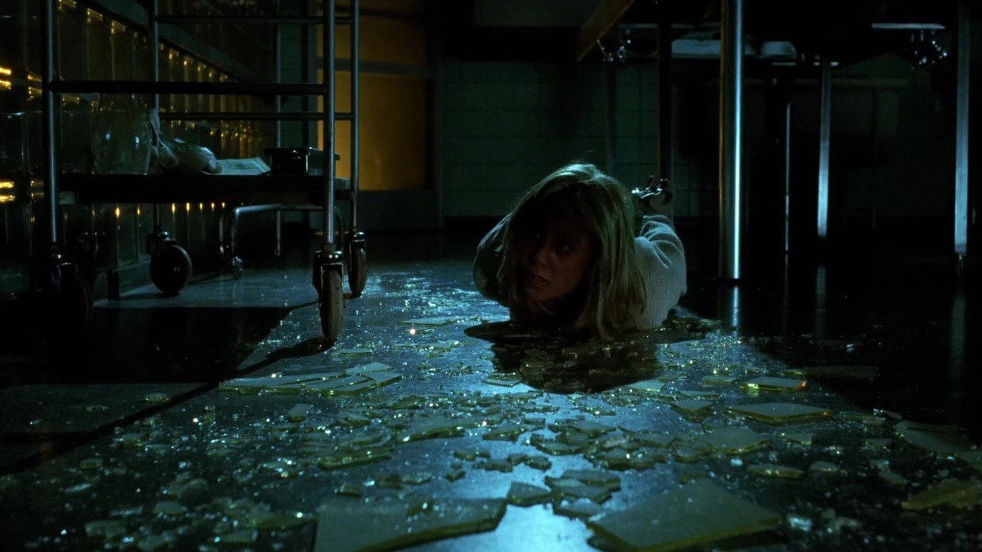 Foto do filme Nightwatch - Perigo na Noite