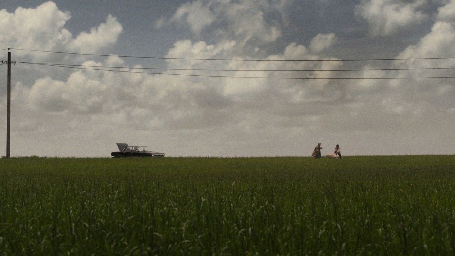 Foto do filme The Execution