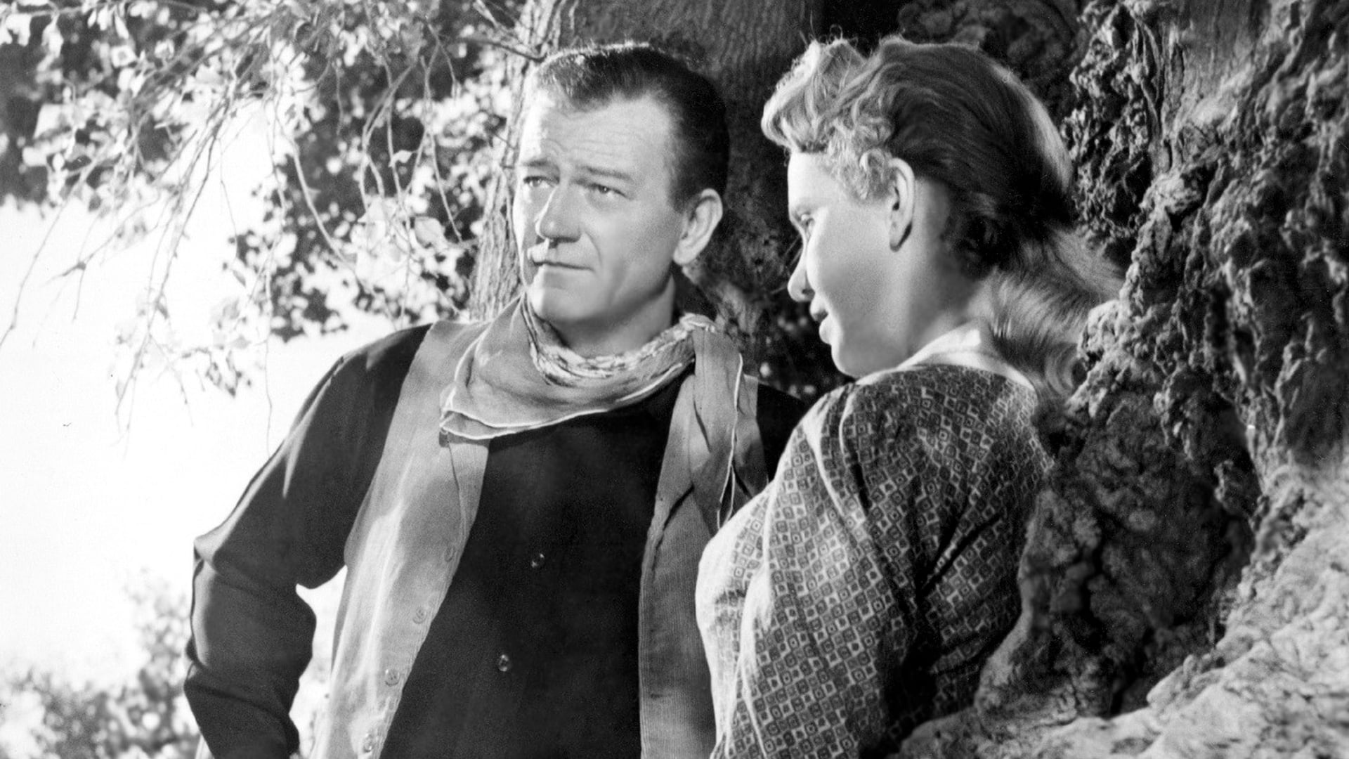 Foto do filme Caminhos Ásperos