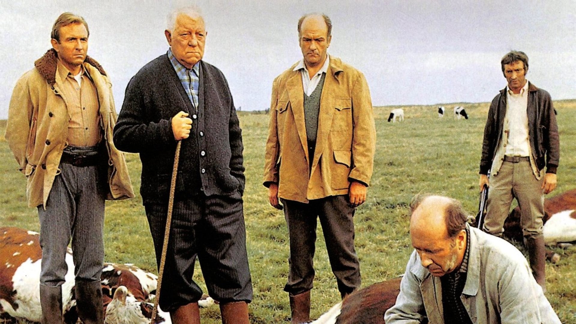 Foto do filme La Horse