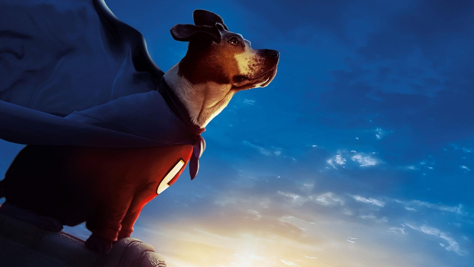 Foto do filme Vira-Lata