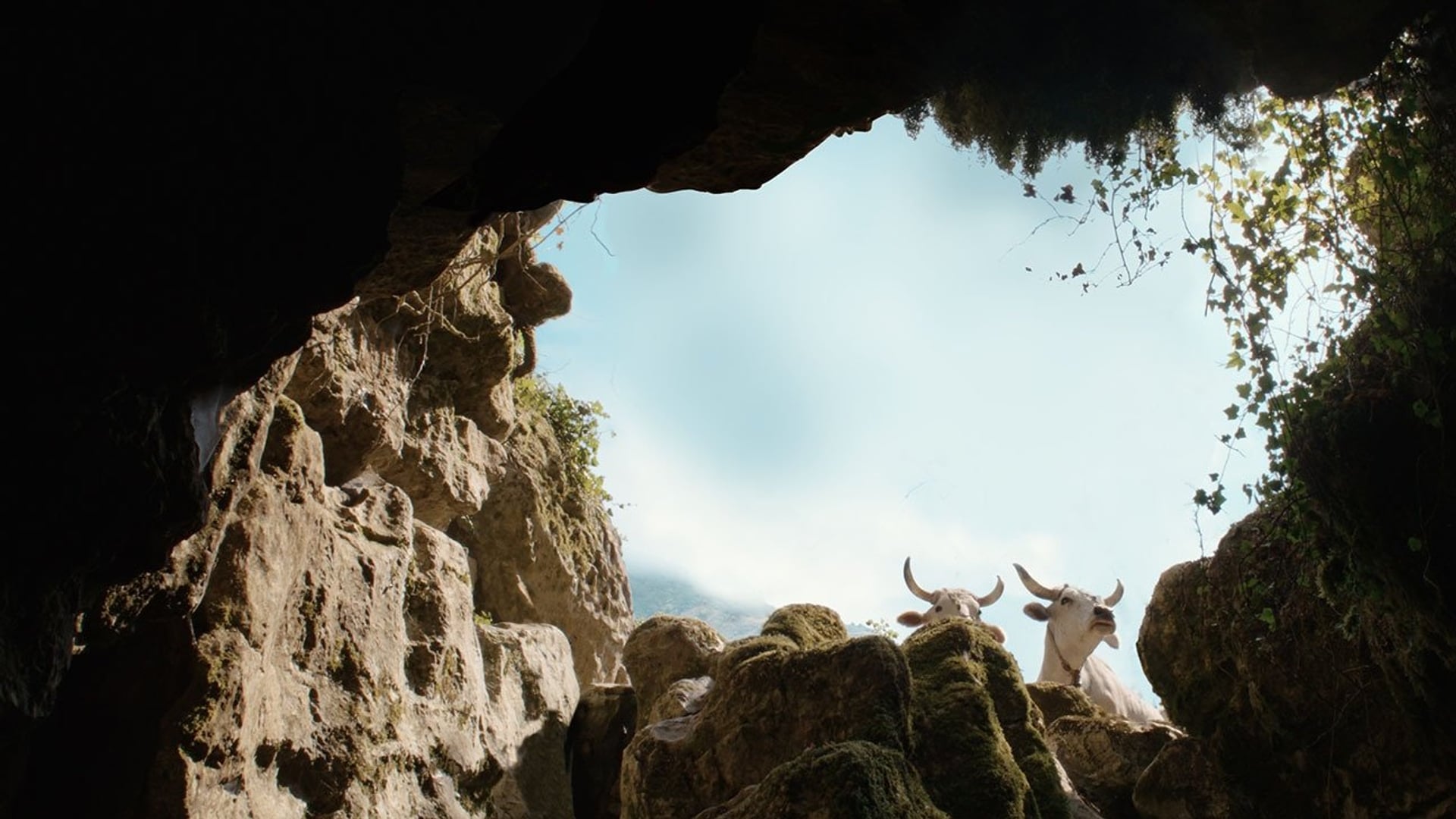 Foto do filme Il buco