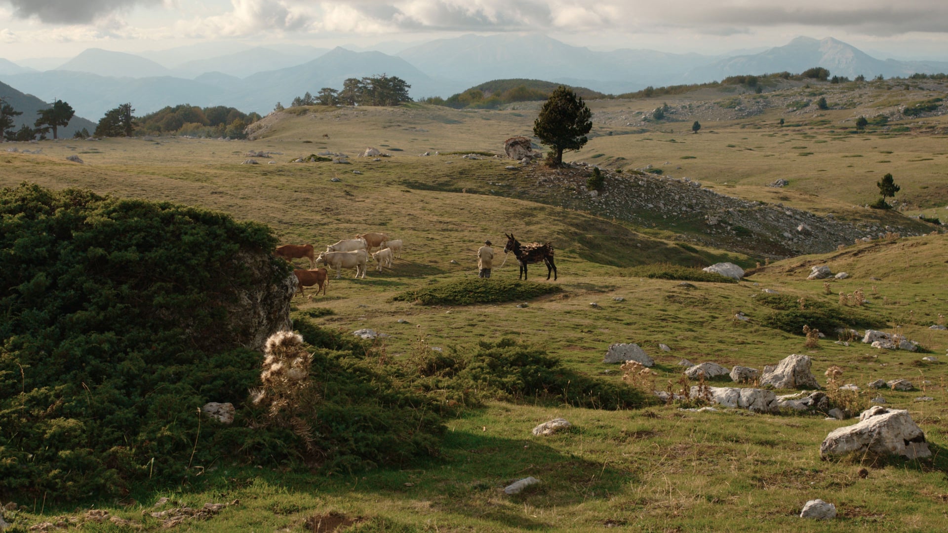 Foto do filme Il buco