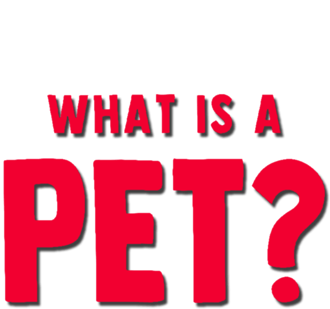 Foto do filme Garfinho Pergunta: O Que é um Pet?