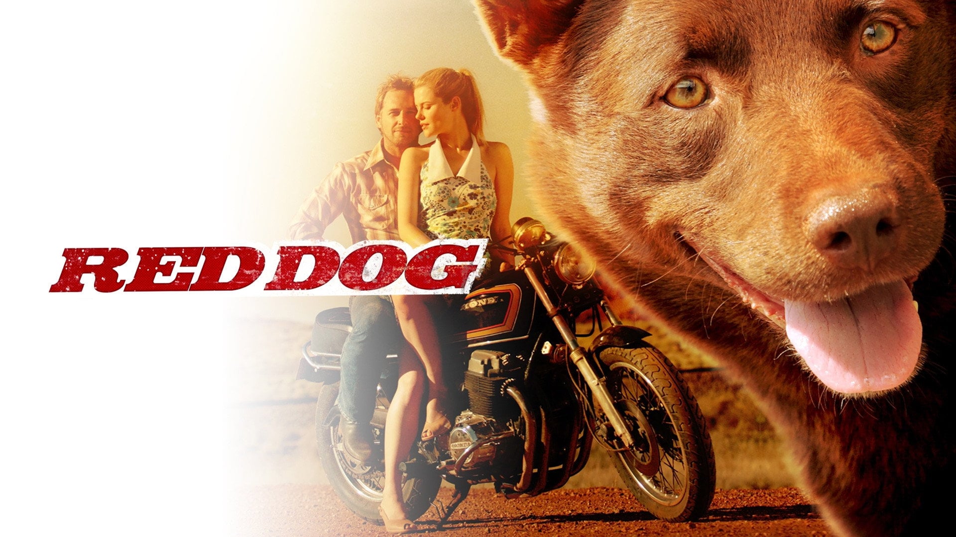 Foto do filme Cão Vermelho