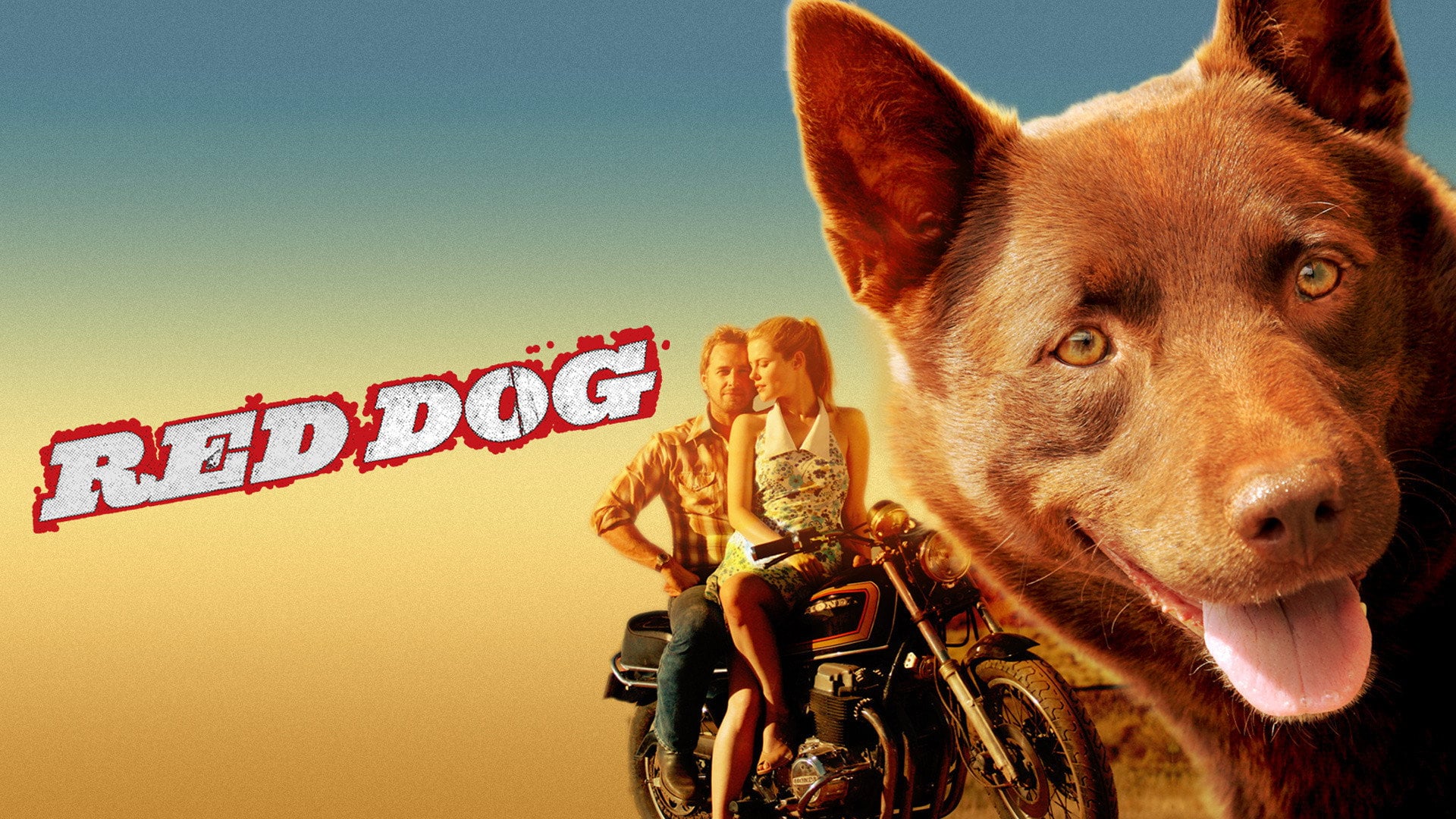 Foto do filme Cão Vermelho