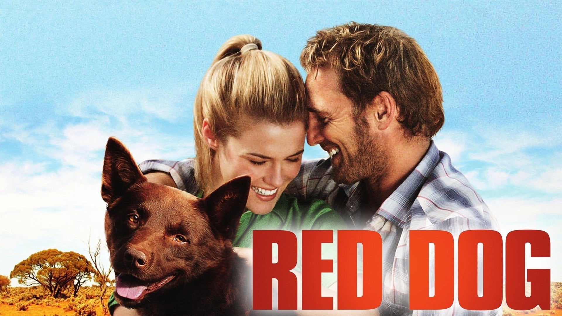 Foto do filme Cão Vermelho