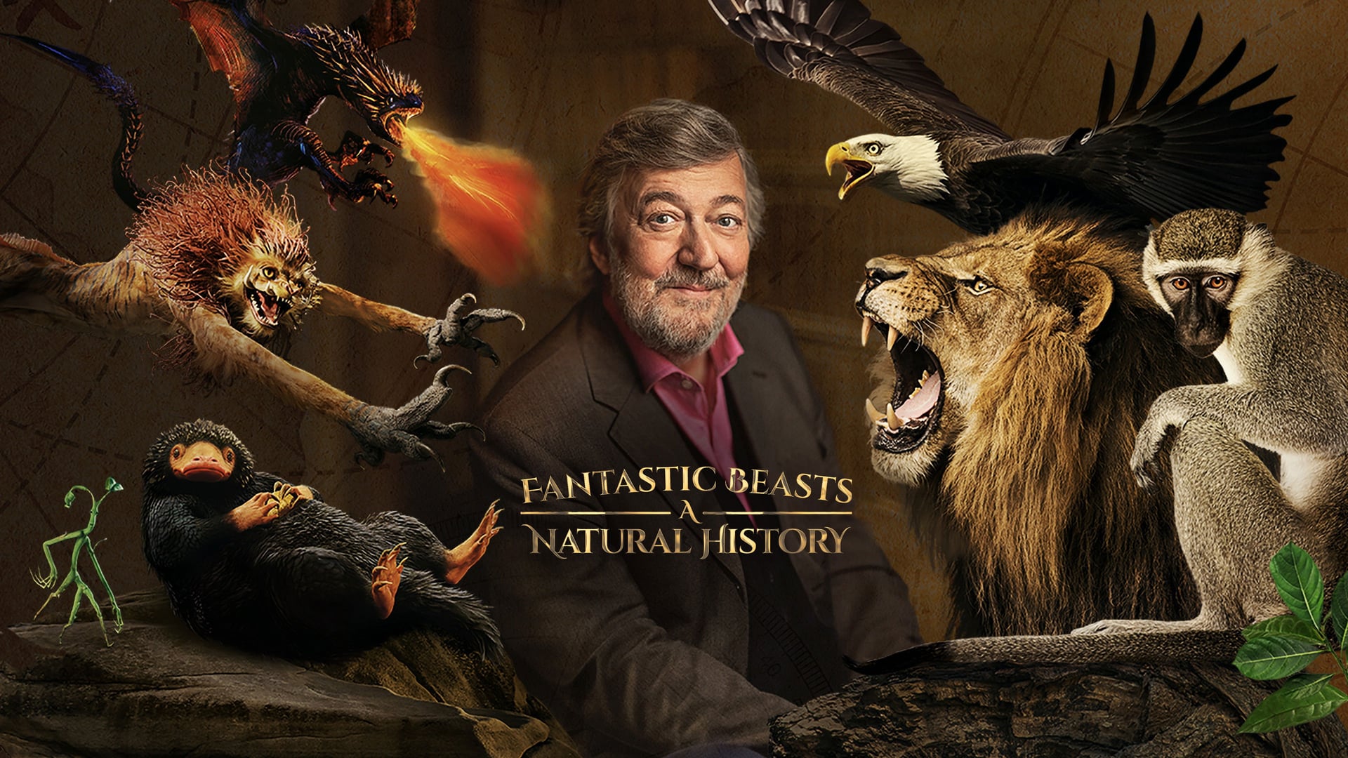 Foto do filme Animais Fantásticos Uma História Natural