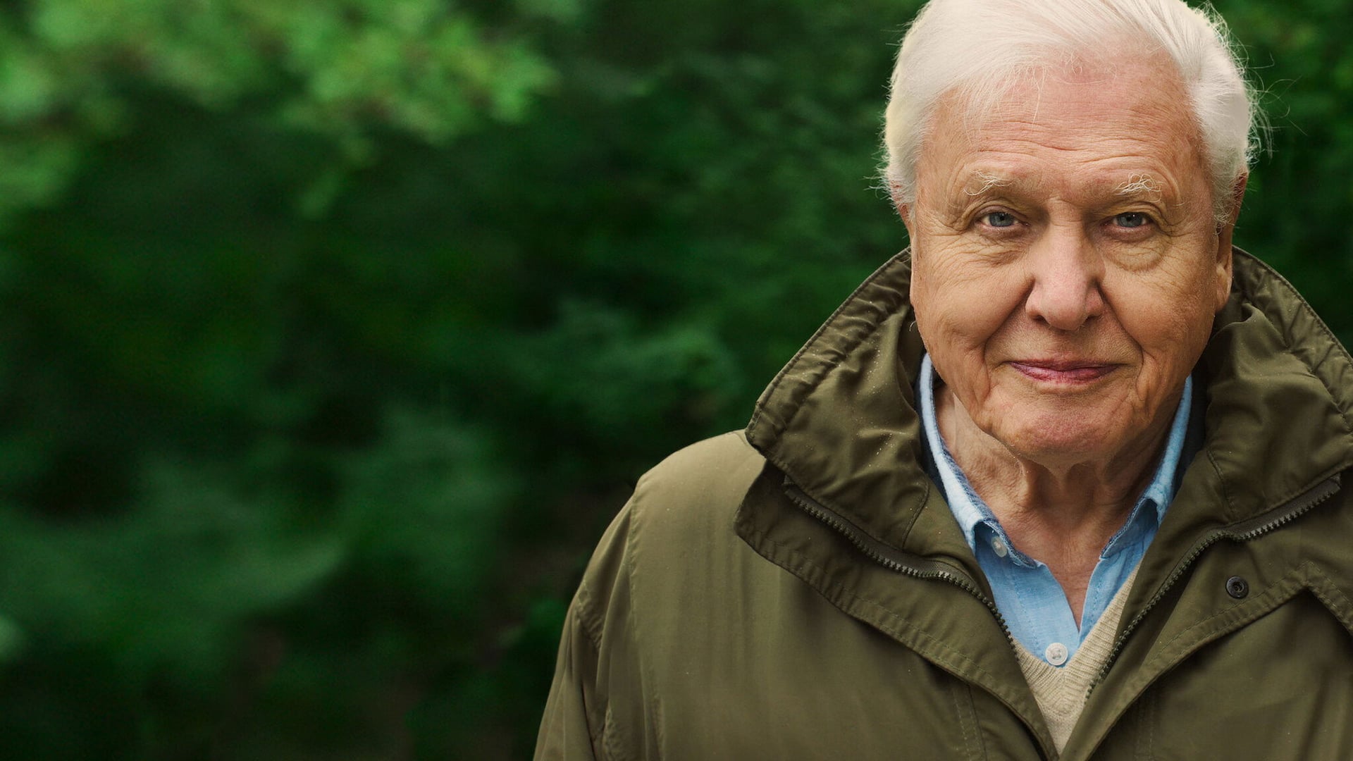Foto do filme David Attenborough e Nosso Planeta
