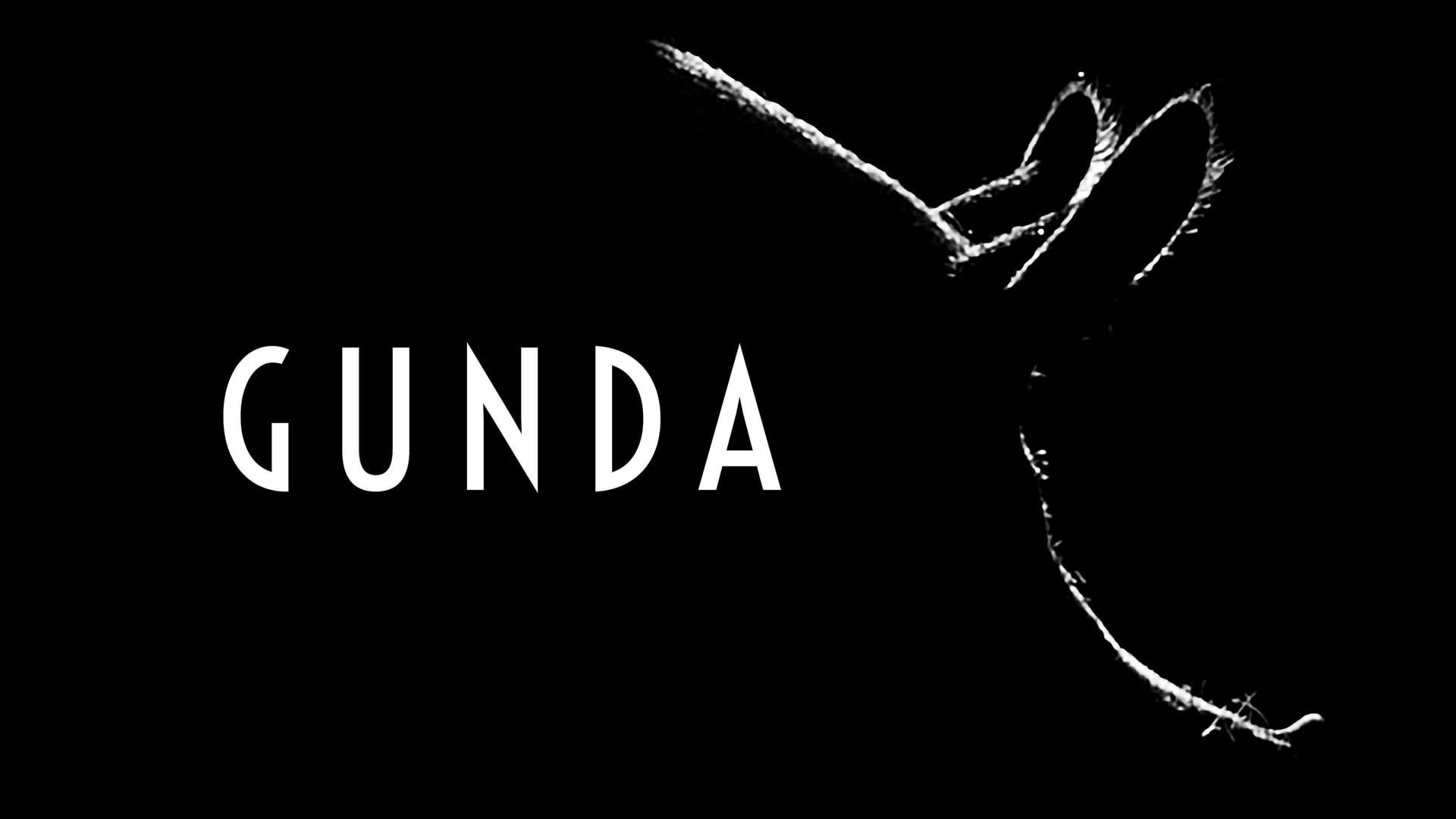 Foto do filme Gunda