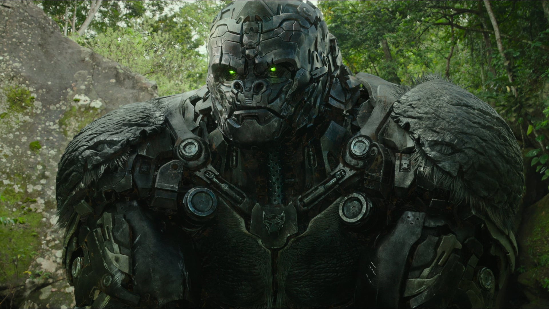 Foto do filme Transformers: O Despertar das Feras