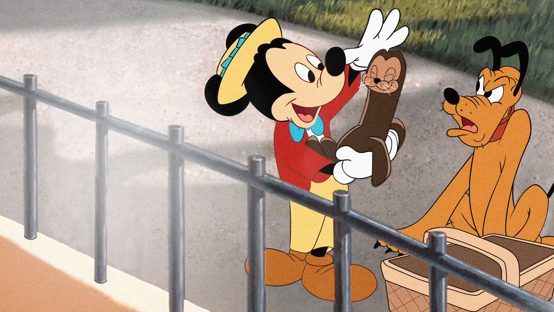 Foto do filme Mickey e a Foca