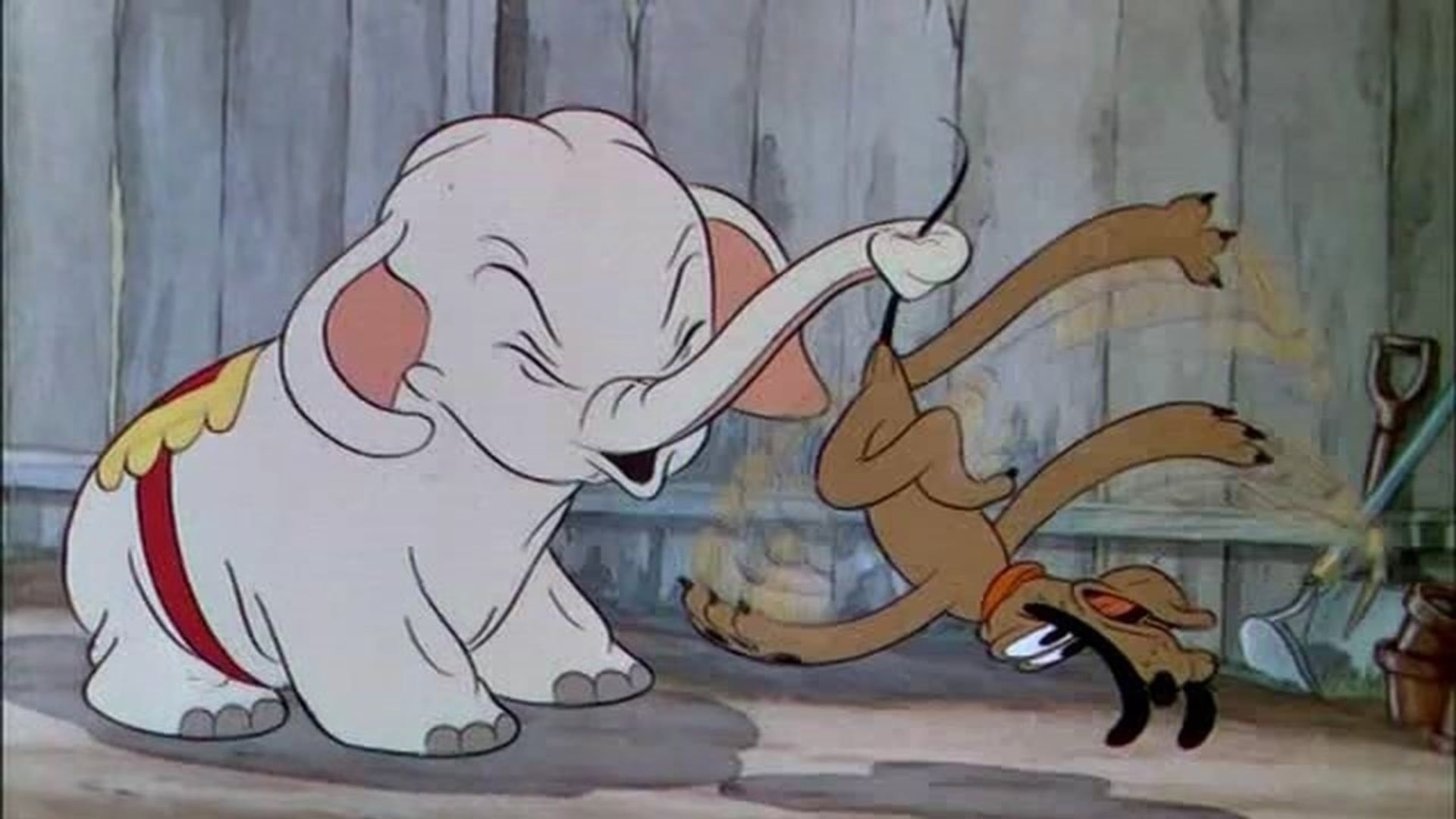 Foto do filme O Elefante de Mickey