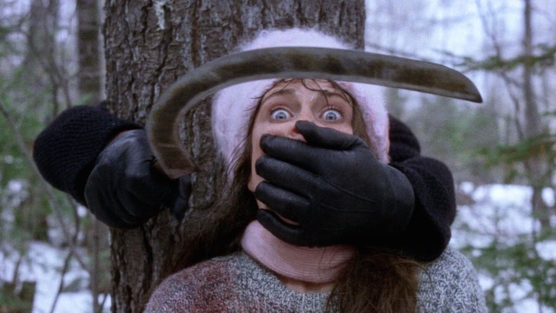 Foto do filme O Último Pesadelo