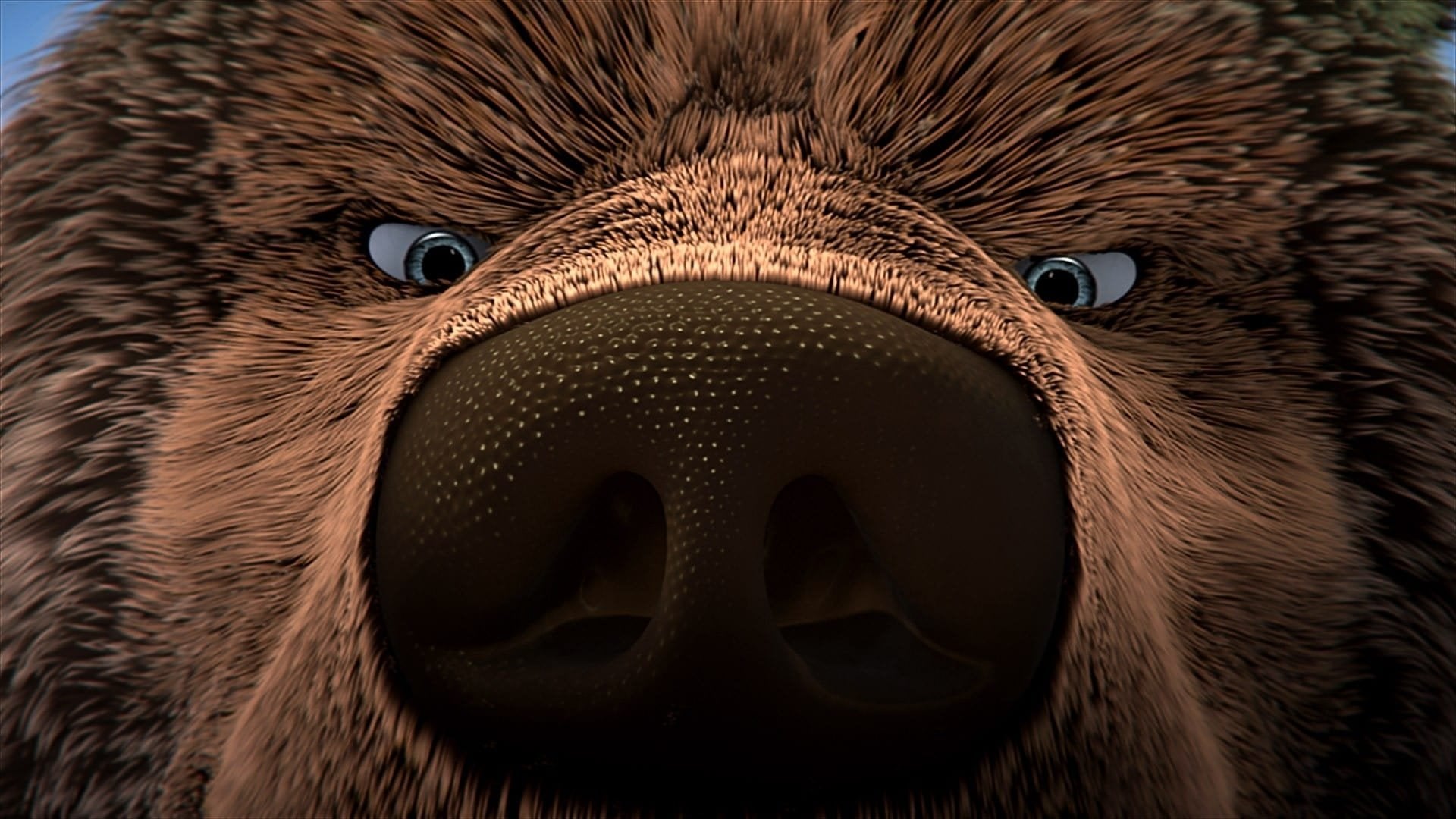 Foto do filme O Grande Urso