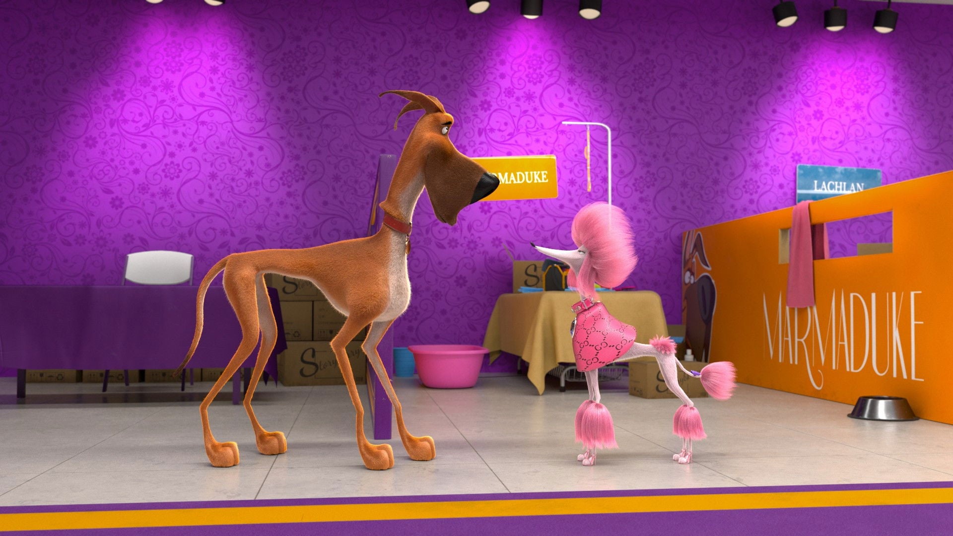 Foto do filme Marmaduke