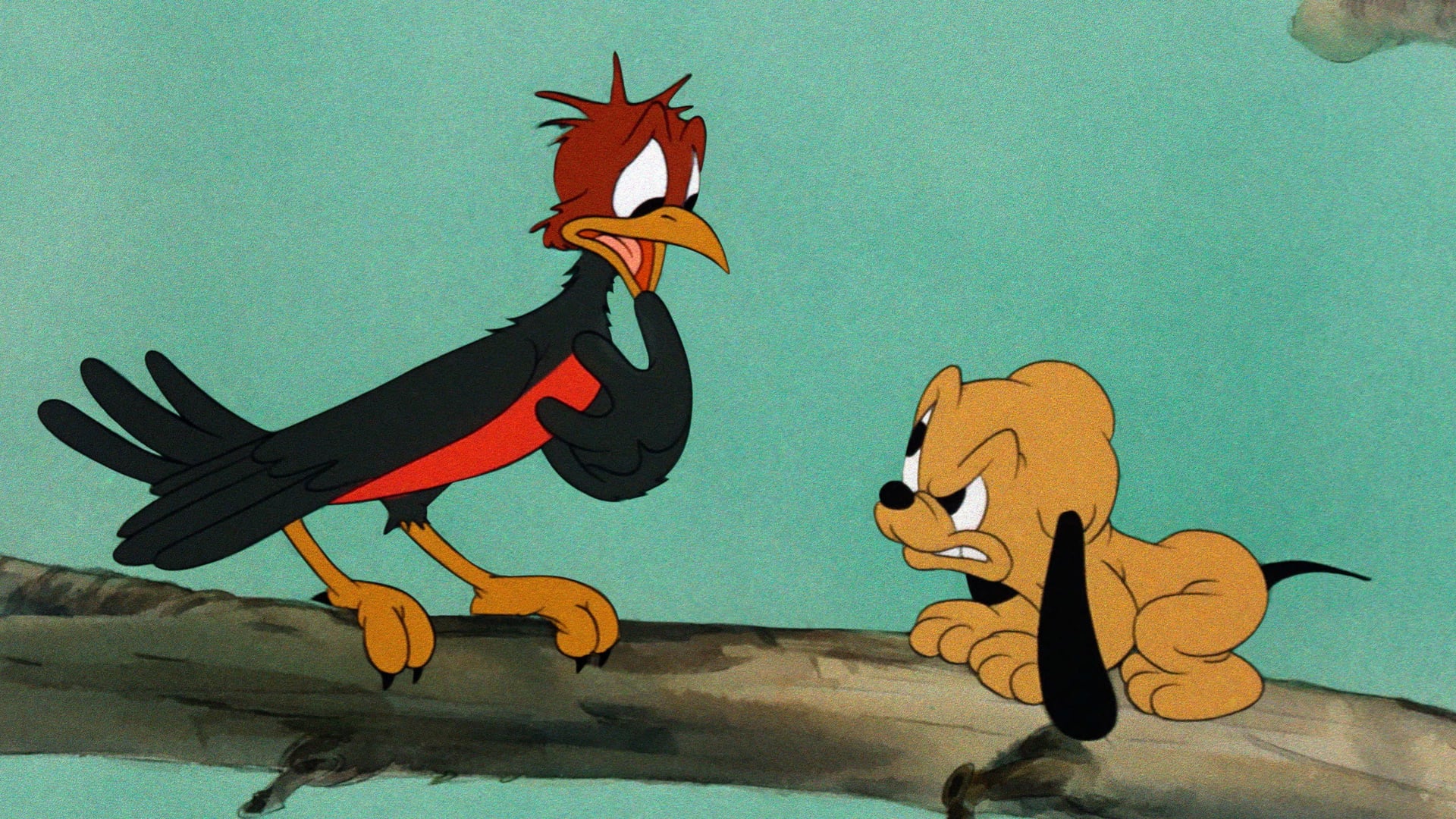 Foto do filme Cachorrinho & Cachorradas