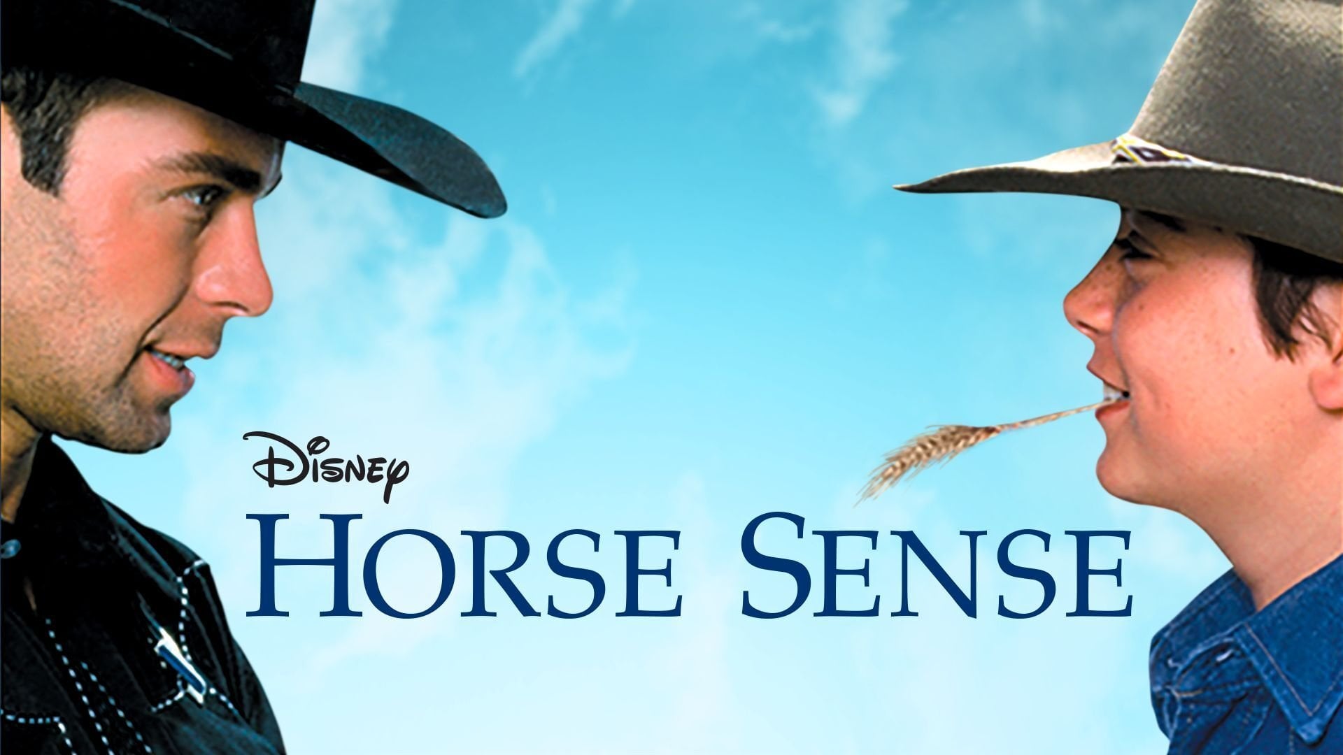 Foto do filme Um Jeito Especial com Cavalos