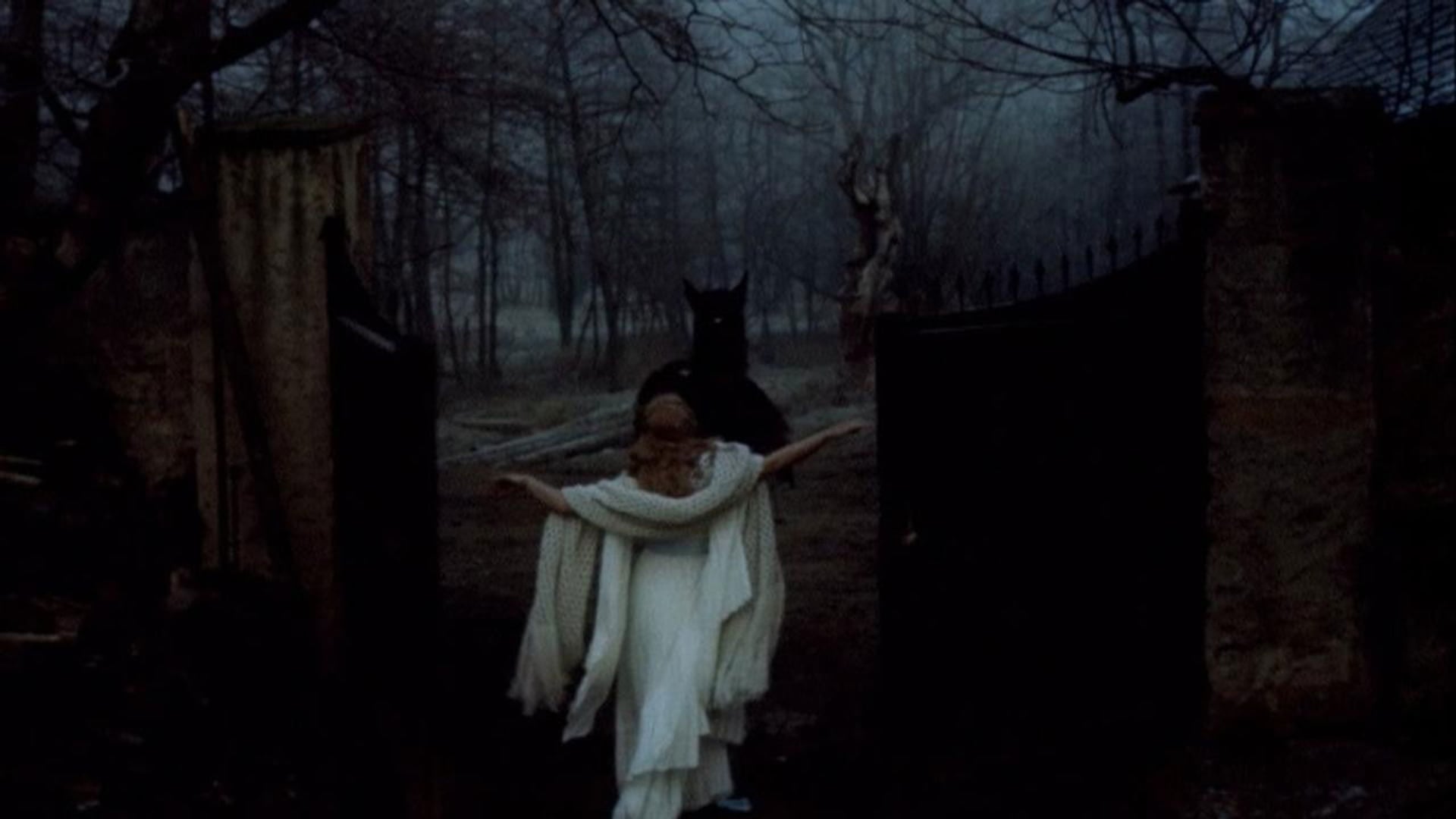 Foto do filme A Bela e a Fera