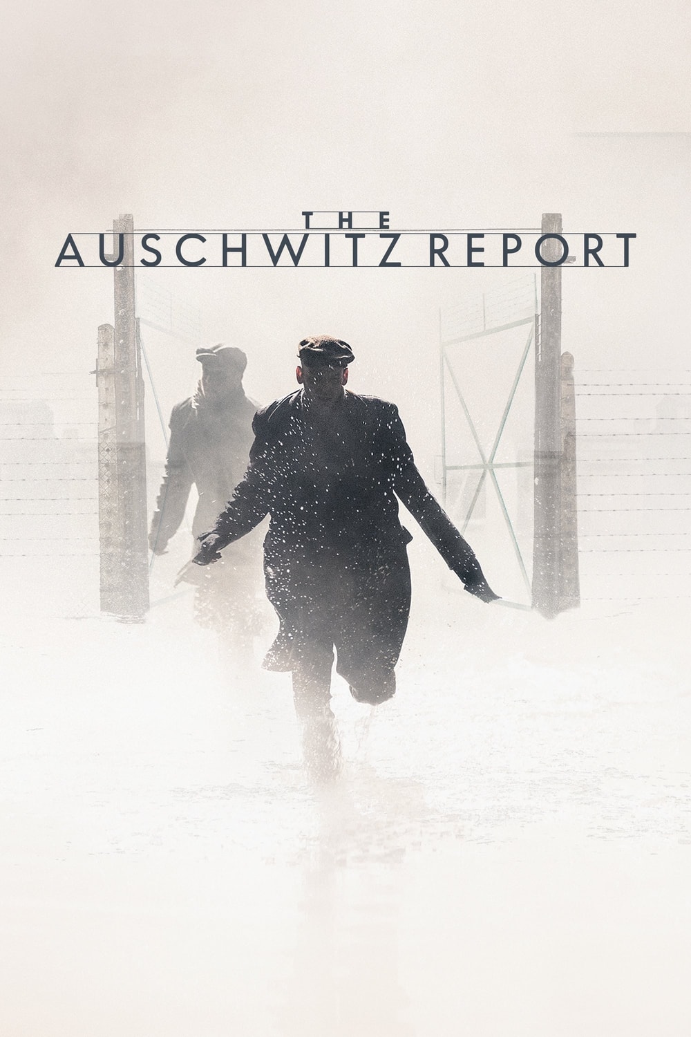 O Protocolo de Auschwitz