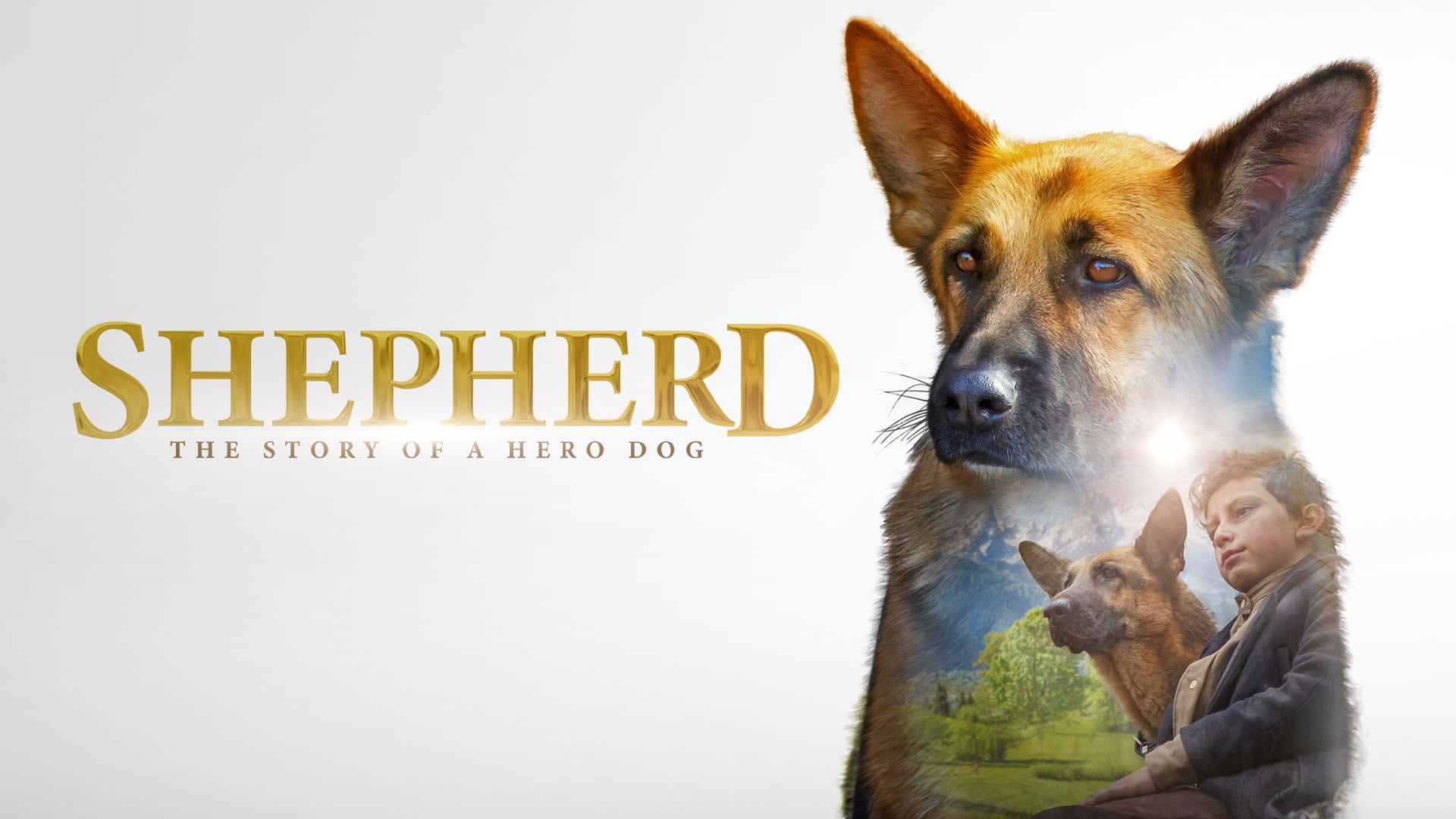 Foto do filme Kaleb - O Cão Herói