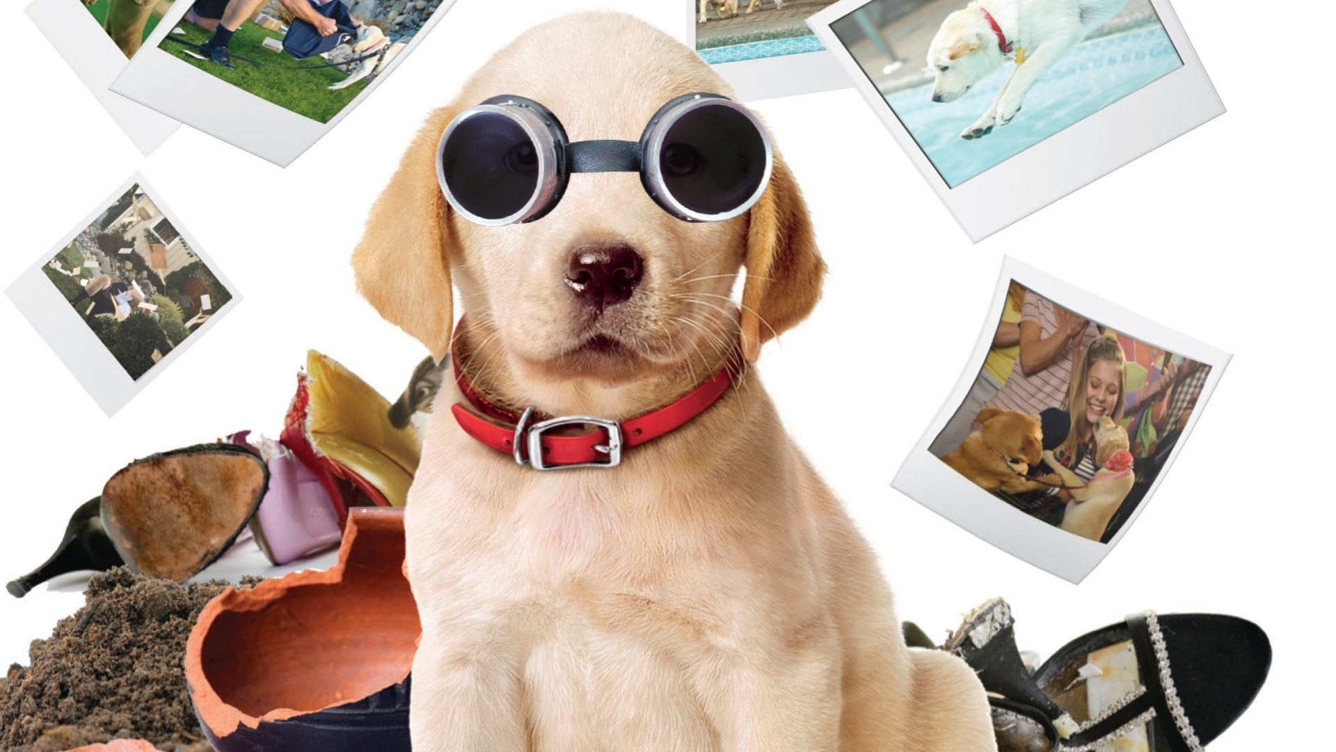 Foto do filme Marley & Eu 2 - Filhote Encrenqueiro