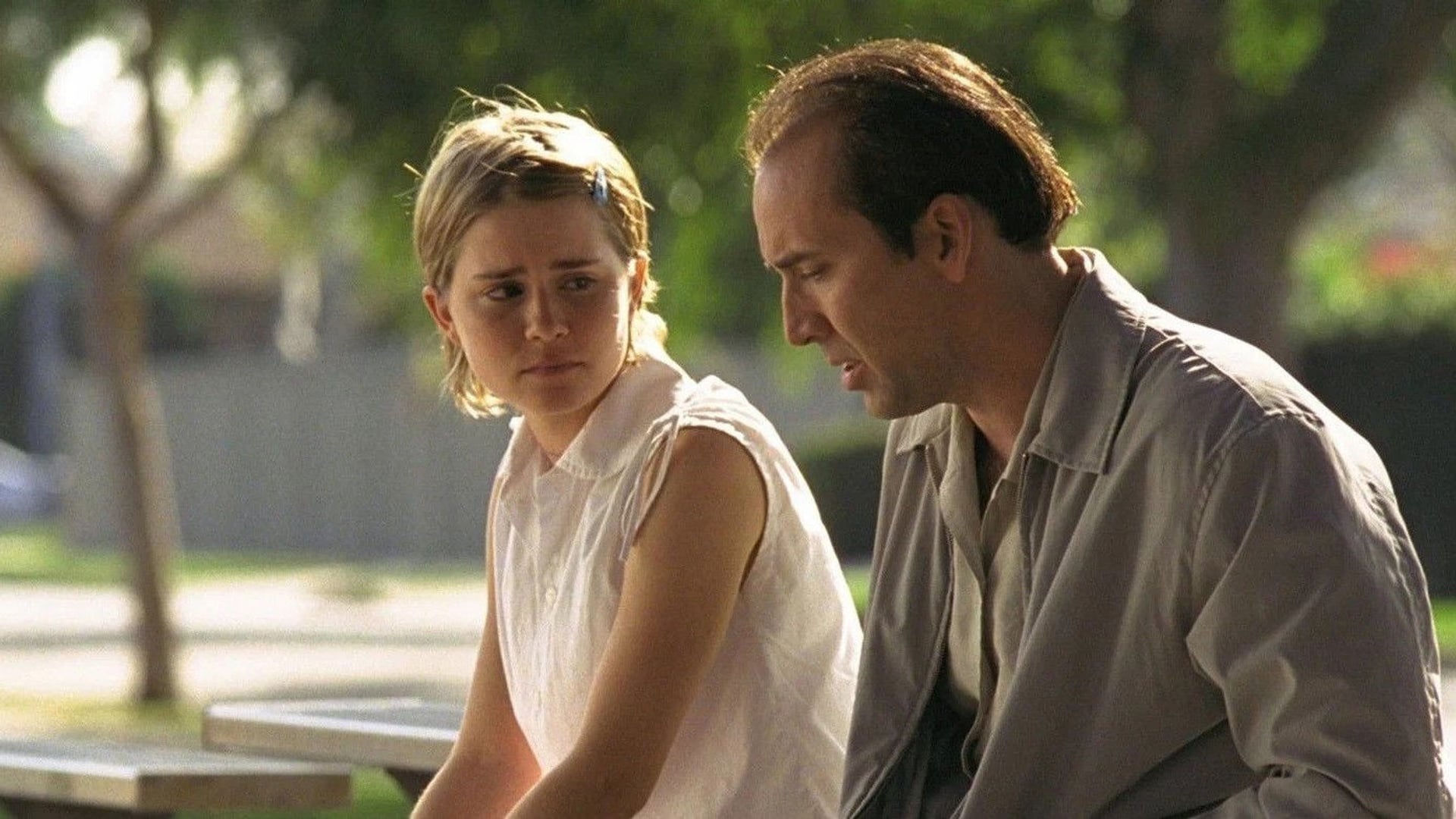Foto do filme Os Vigaristas