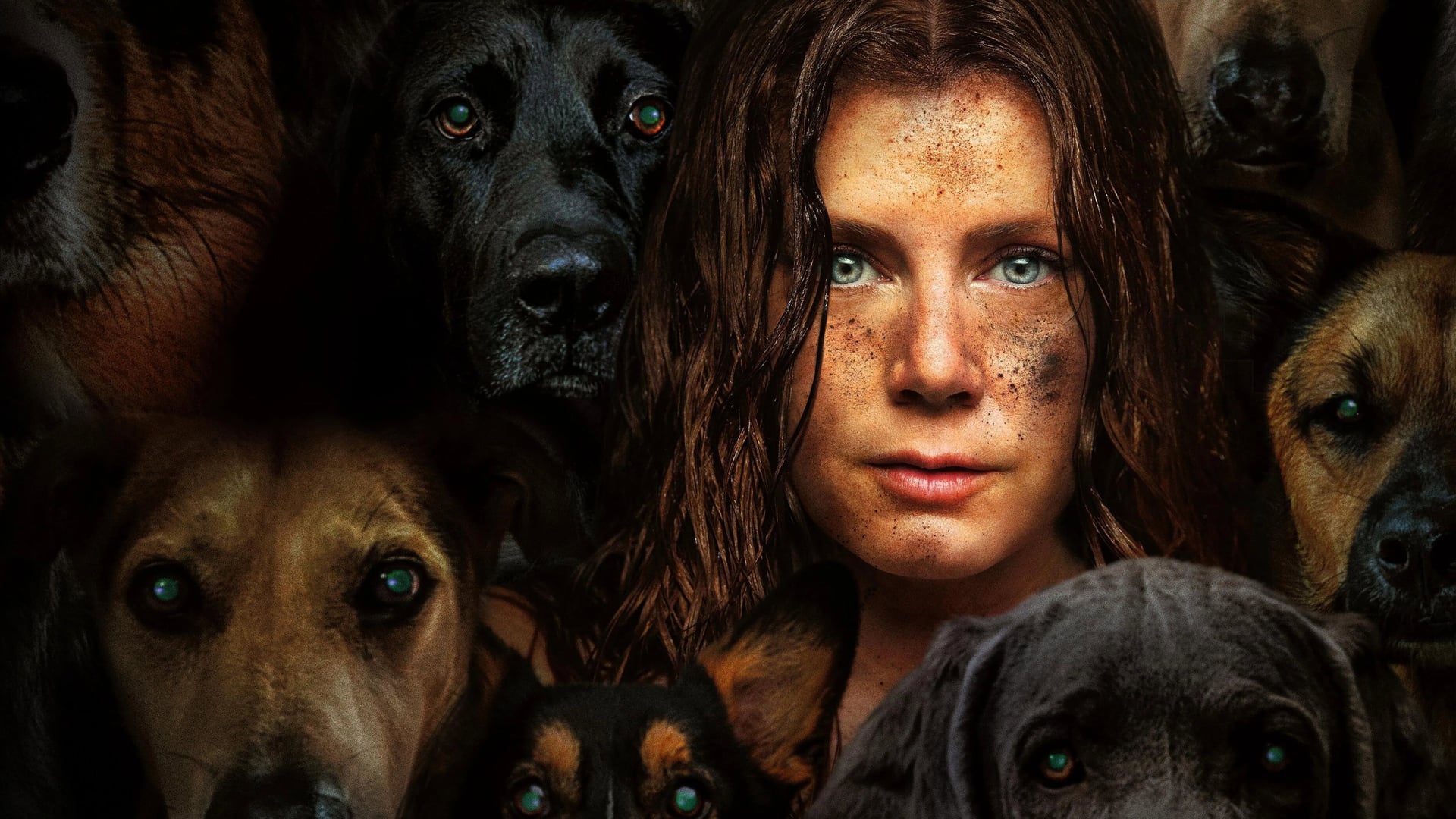 Foto do filme Canina
